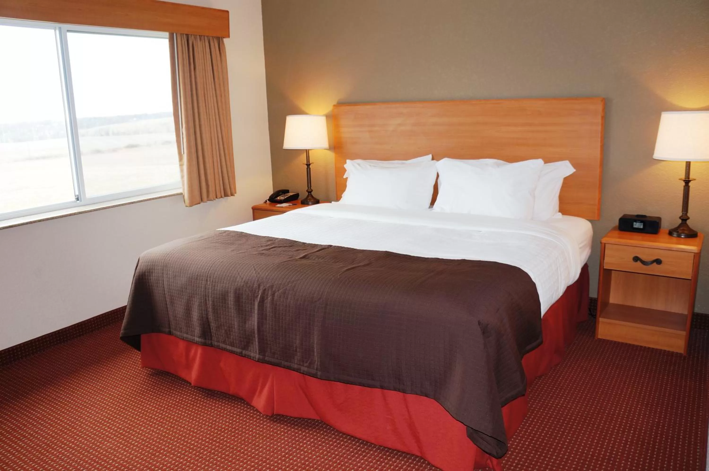 King Room with Roll-in Shower - Mobility Access/Non-Smoking in AmericInn by Wyndham Anamosa