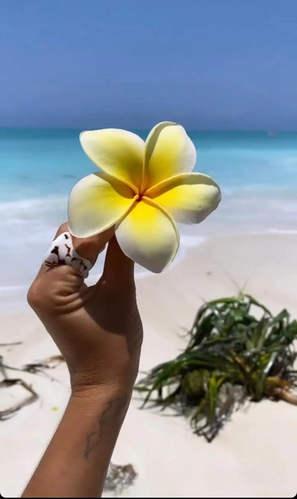 King Room in Kihori Nungwi