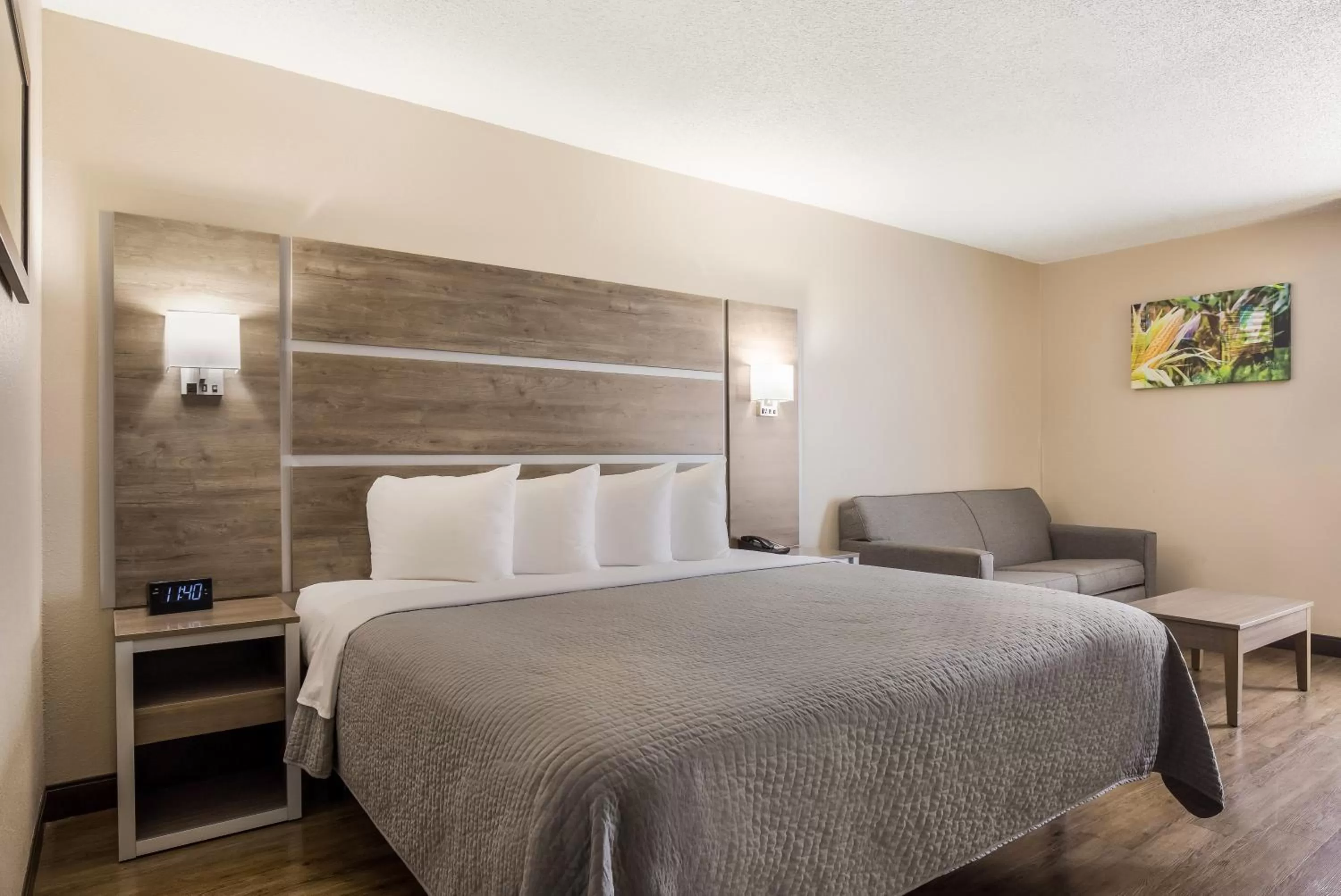 King Room - Disability Access in Hometown Inn Thomasville