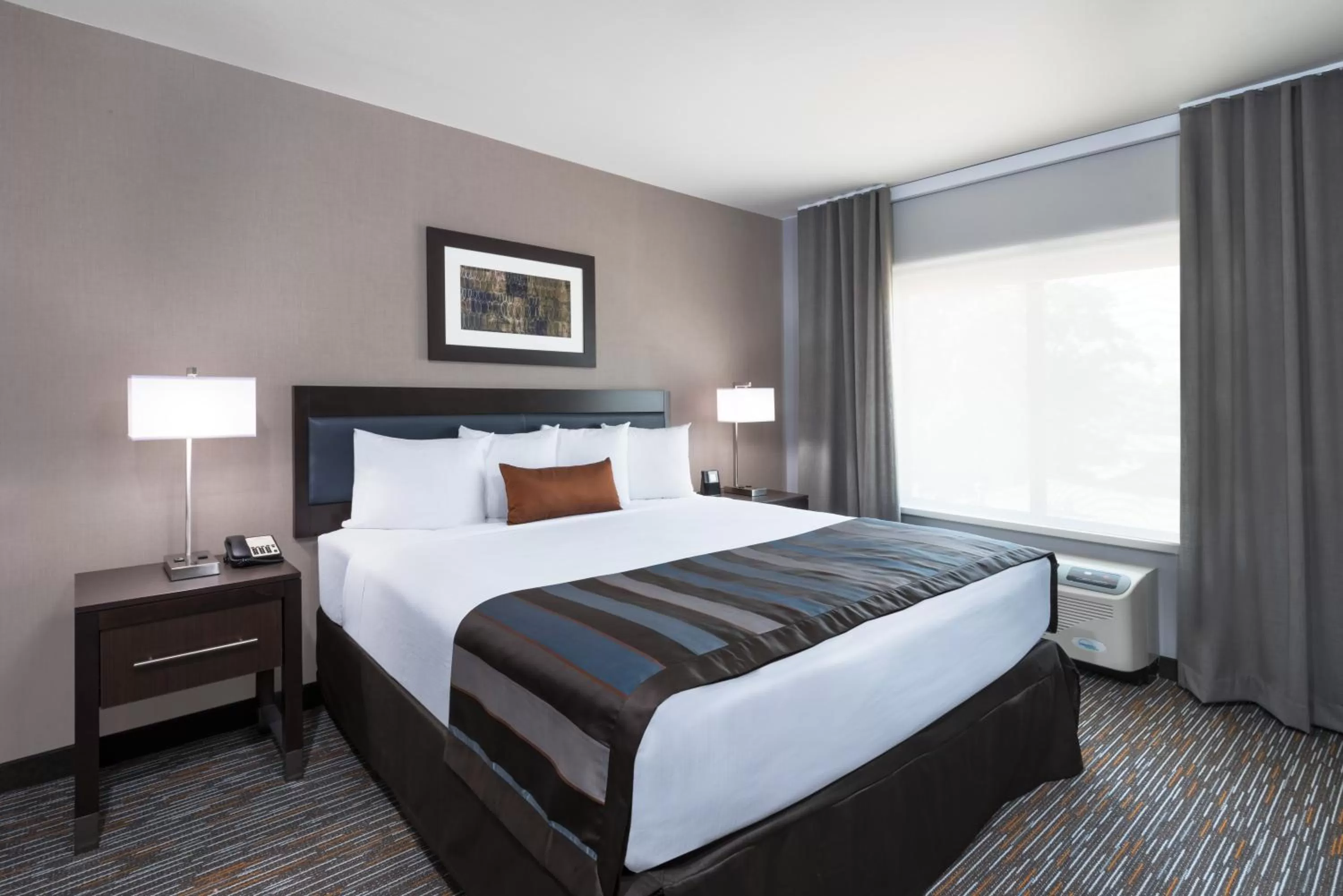 King Suite with Roll-In Shower - Mobility Accessible/Non-Smoking in Wingate by Wyndham Sidney