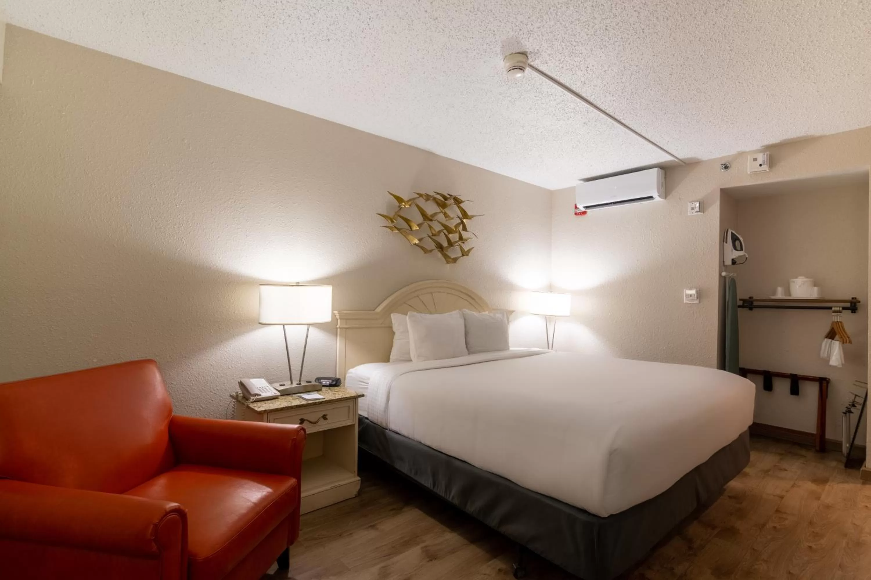 One King Bed- Pool side ADA in Emerald Beach Hotel Corpus Christi