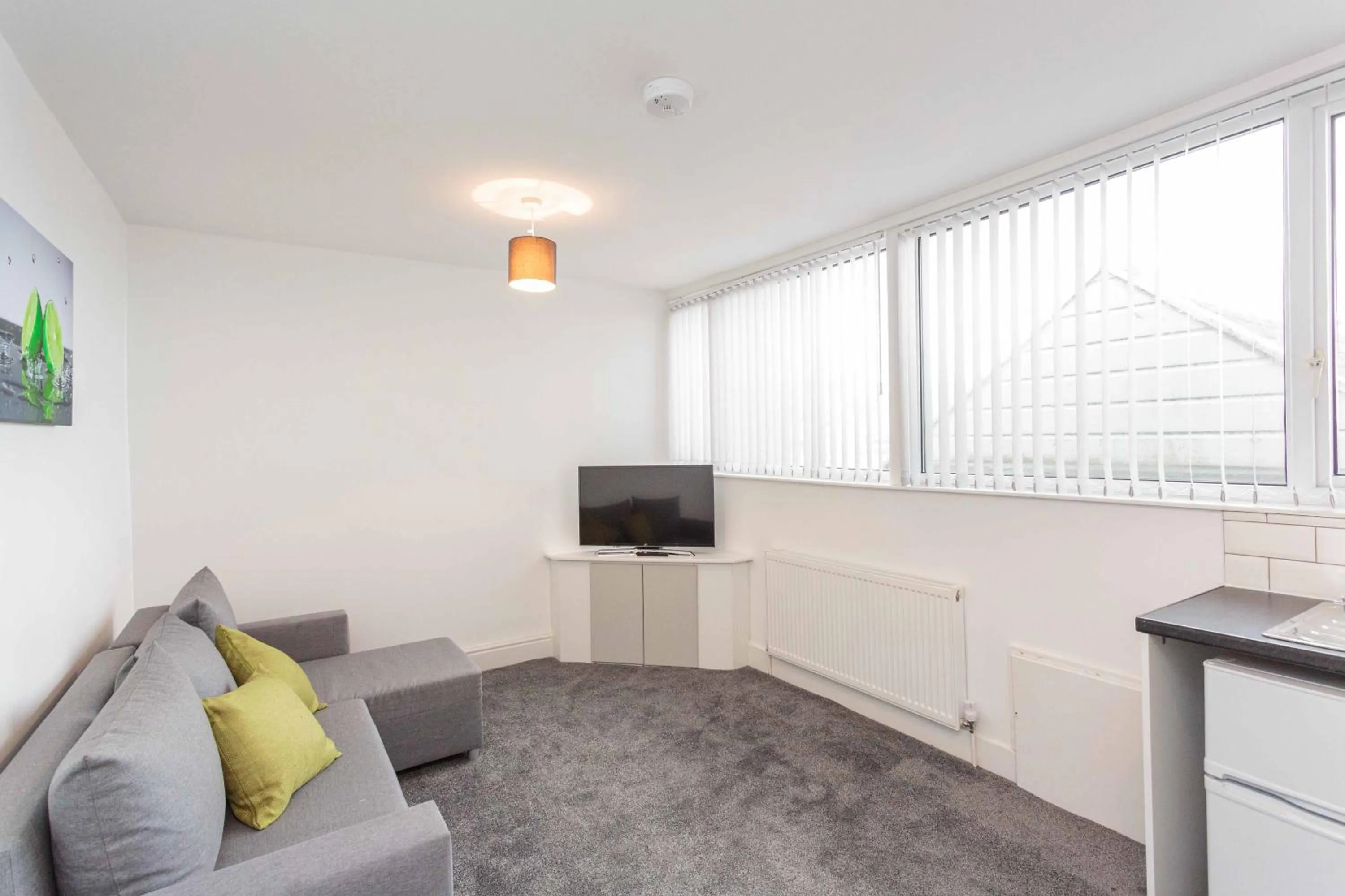 Superior Apartment in Cherry Property - Hornby Road