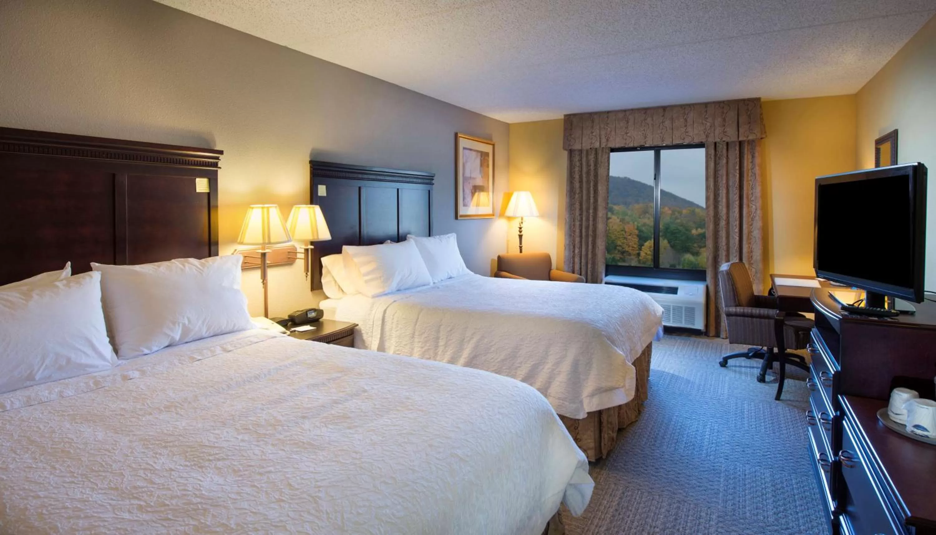 Queen Room with Two Queen Beds - Mobility and Hearing Access/Non-Smoking in Hampton Inn Bennington