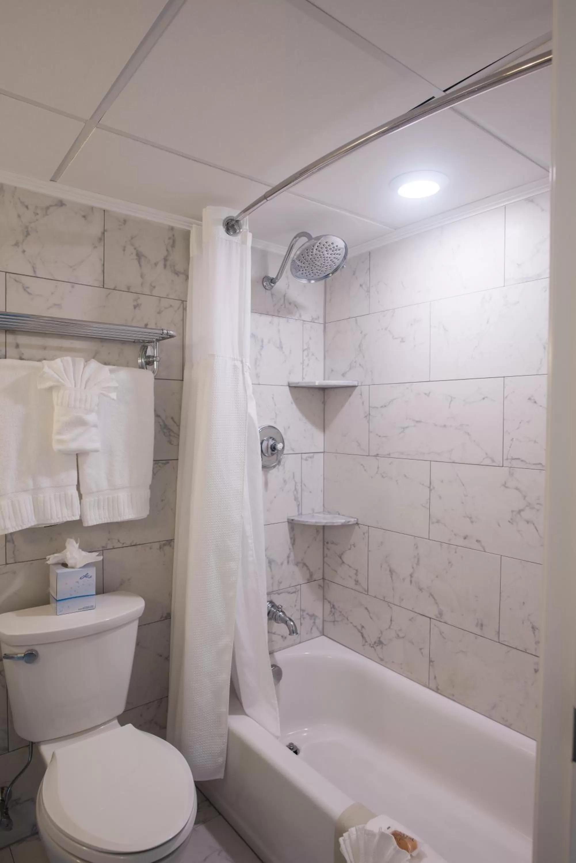 Premium Family Suite+ in ICONA Avalon