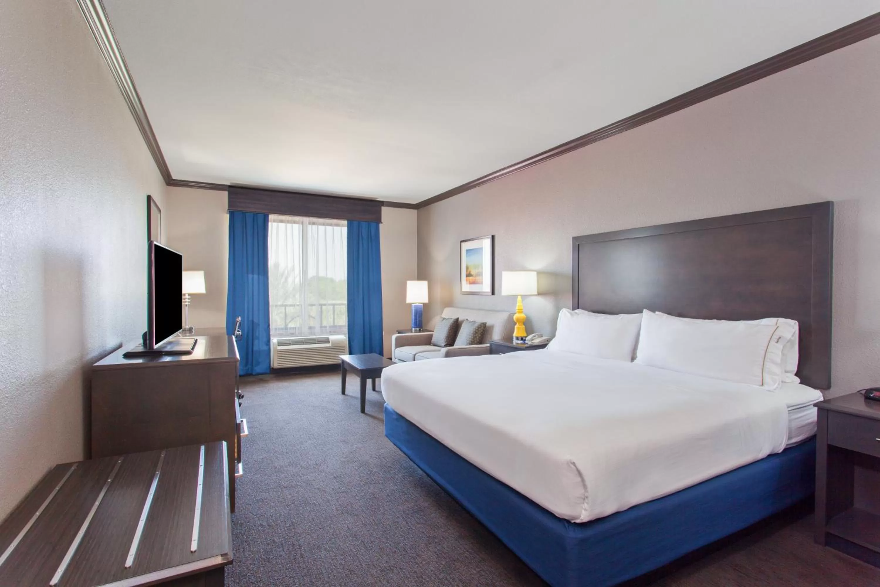 Standard King Room with Extra Space in Holiday Inn Express & Suites Wharton by IHG