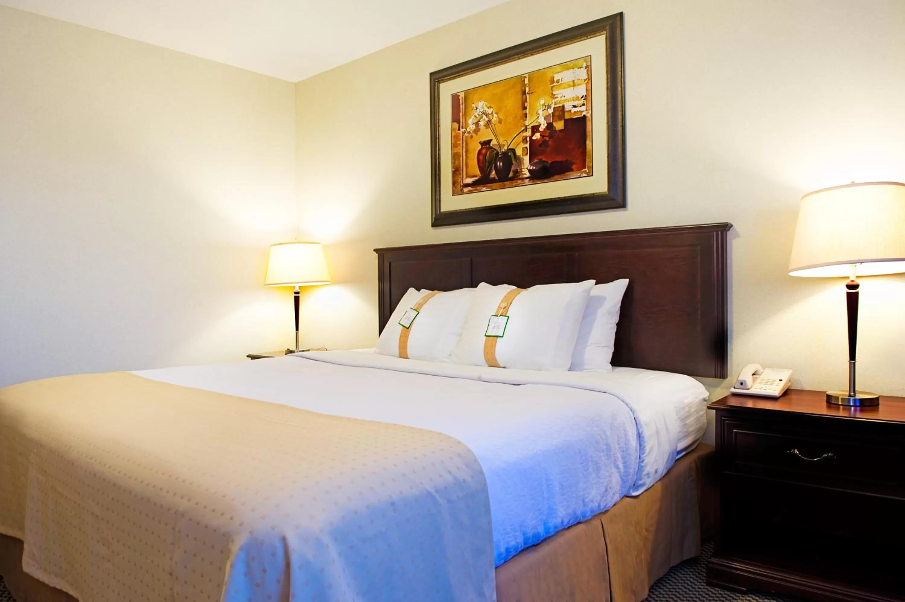 Standard King Room in Holiday Inn & Suites Lloydminster by IHG