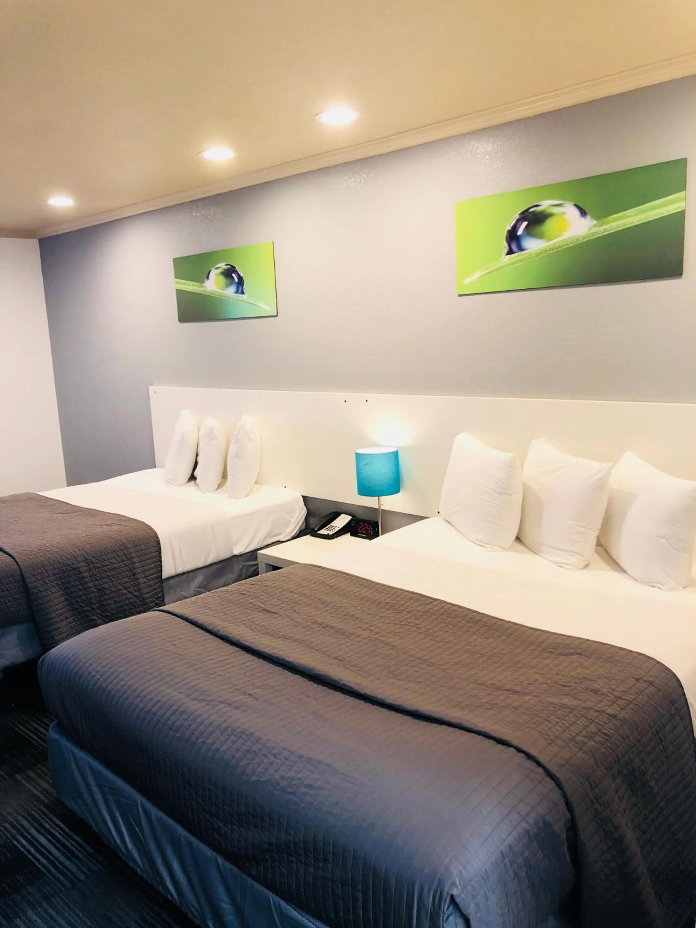 Queen Room with Two Queen Beds - Non-Smoking in BridgePoint Inn Daly City