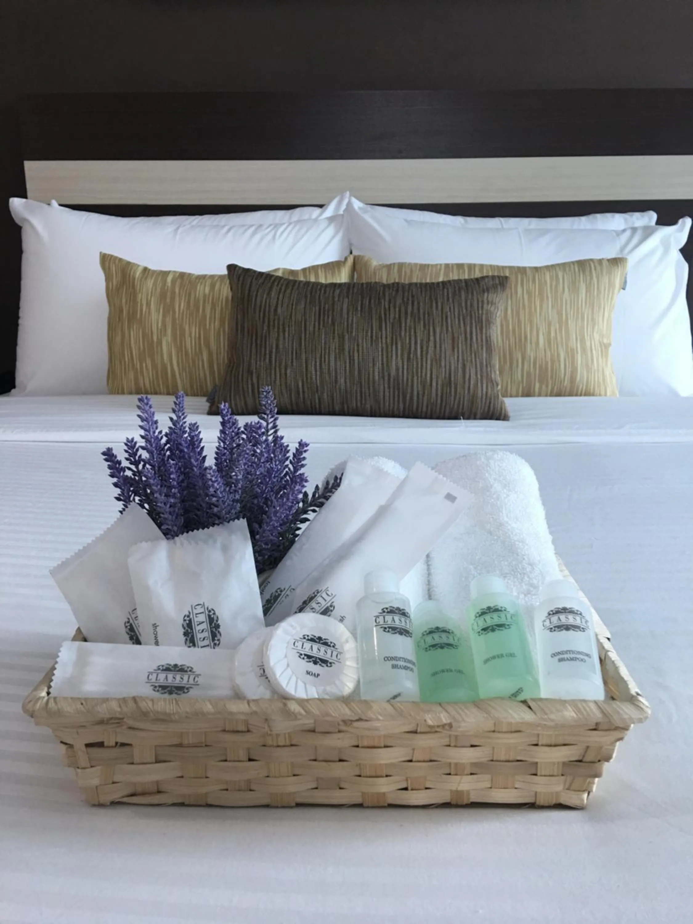 Queen Room - single occupancy in Chemara Boutique Hotel