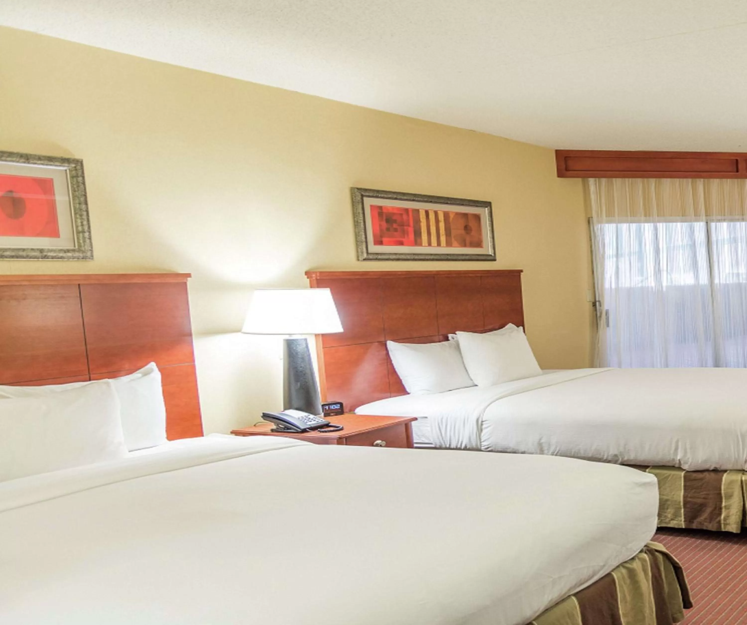 Queen Room with Two Queen Beds in DoubleTree by Hilton Holland