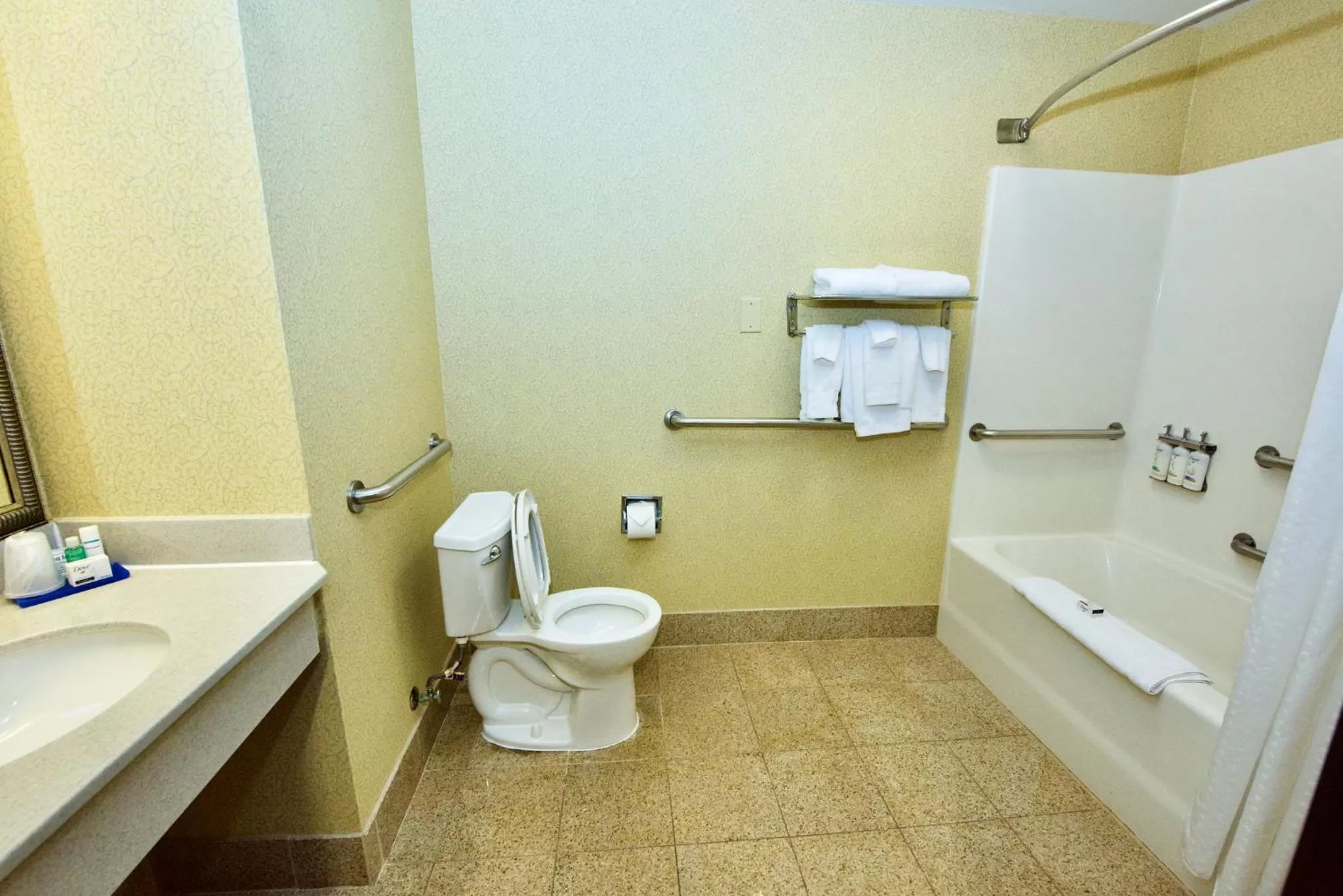 Queen Room with Hearing Mobility Accessible Tub - Non-Smoking in Holiday Inn Express Hotel & Suites Fenton/I-44 by IHG