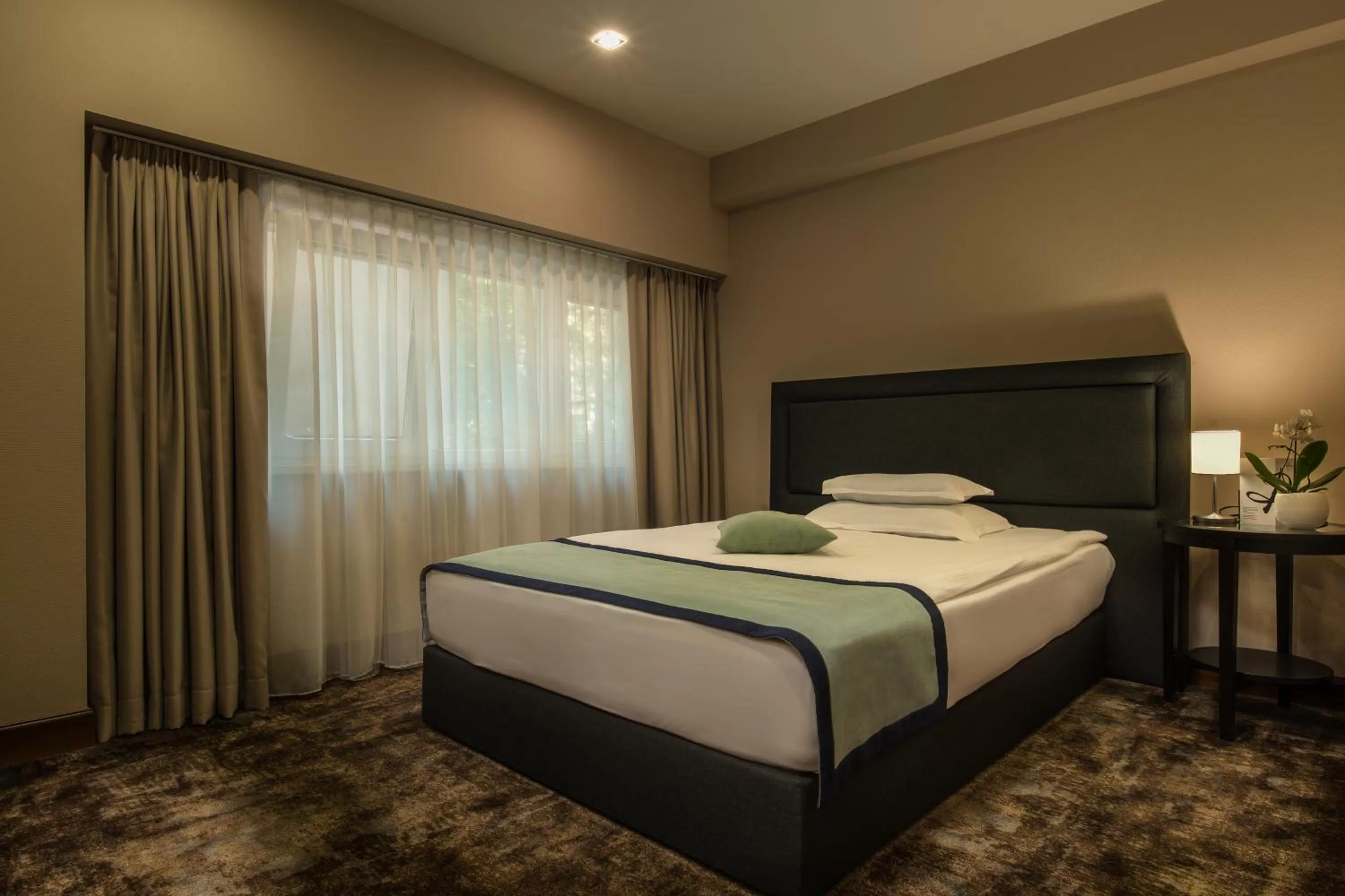 Economy Single Room in Rosslyn Thracia Hotel Sofia