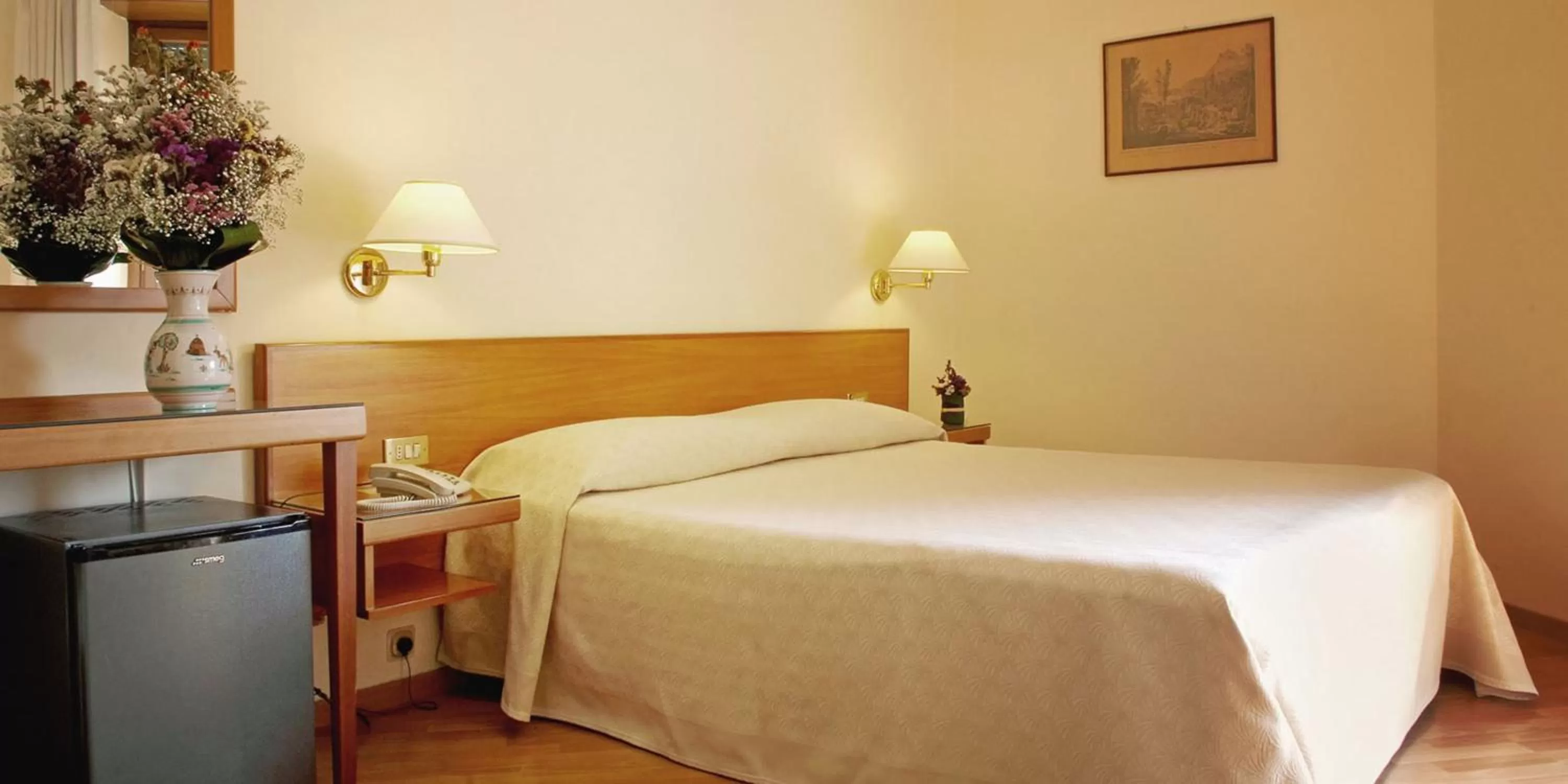 Double Room in Hotel Plaza