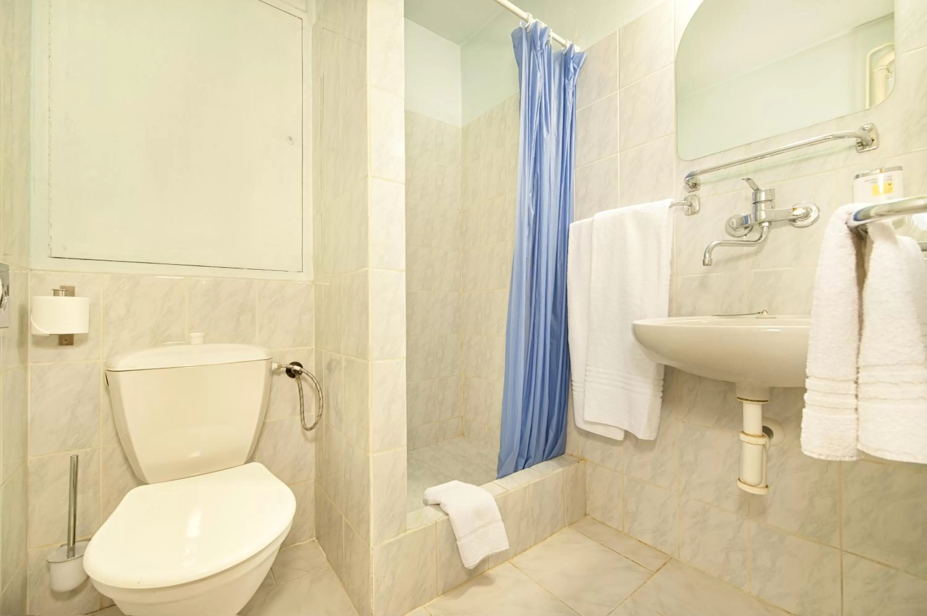 Single Room in Hotel Henrietta