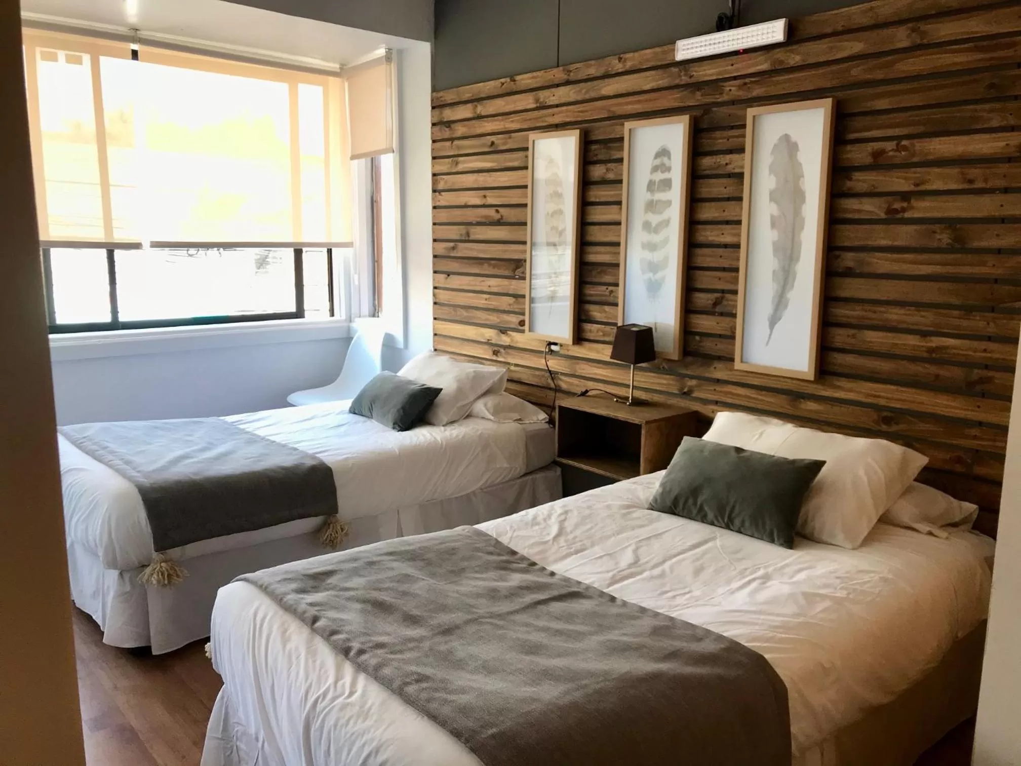 Twin Room in Etnico Bío Bío Hotel