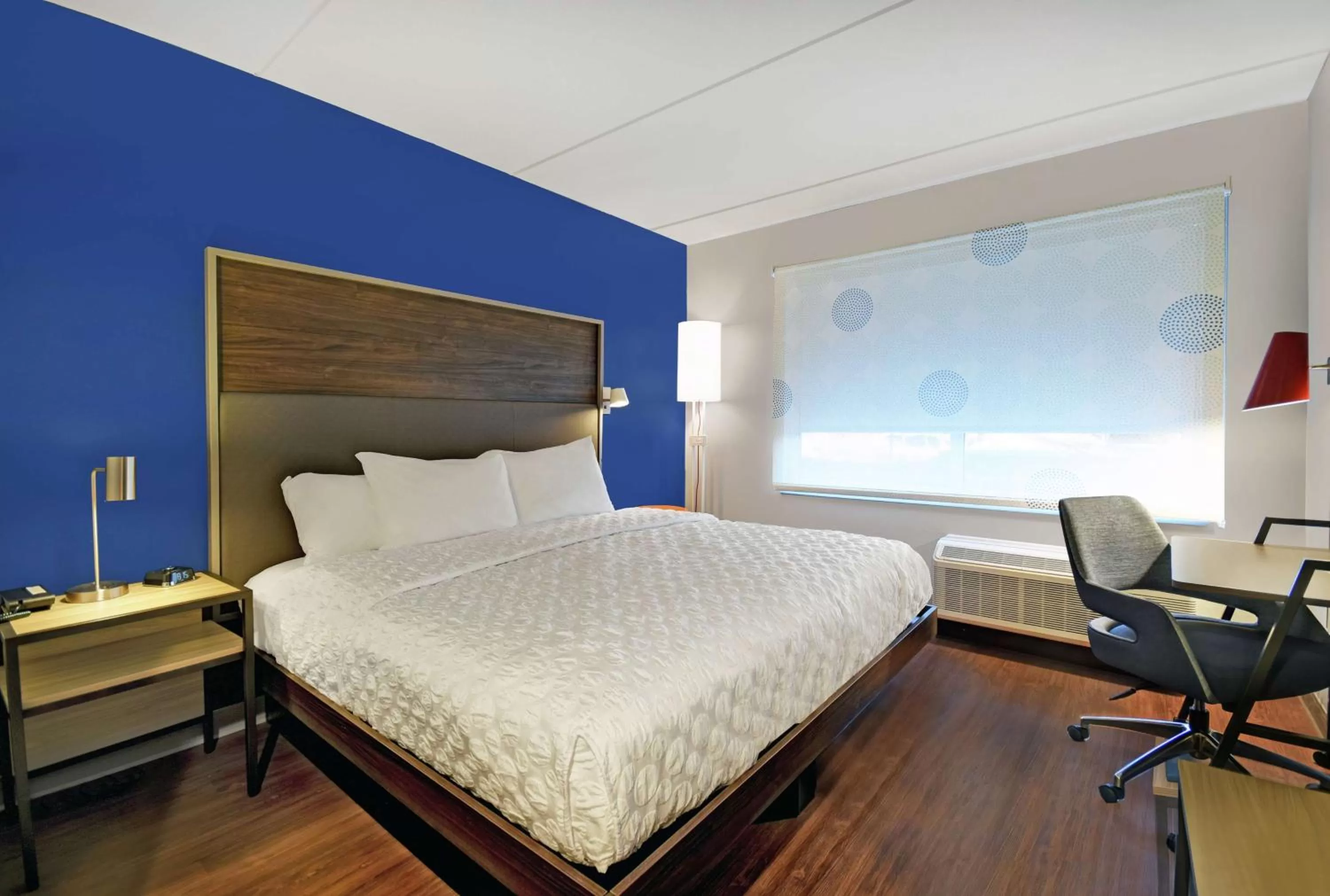 King Room in Tru By Hilton Burlington