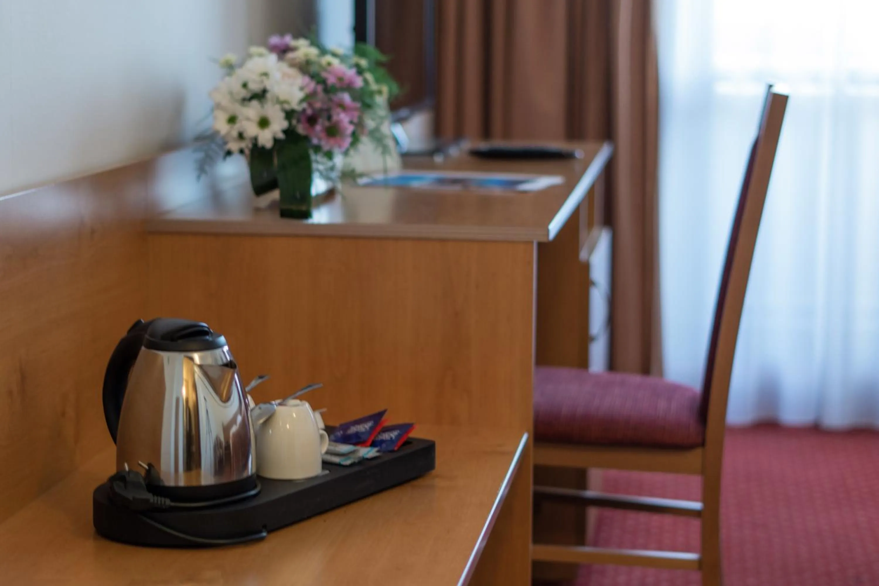 Comfort Single Room with Balcony in Hotel Globus