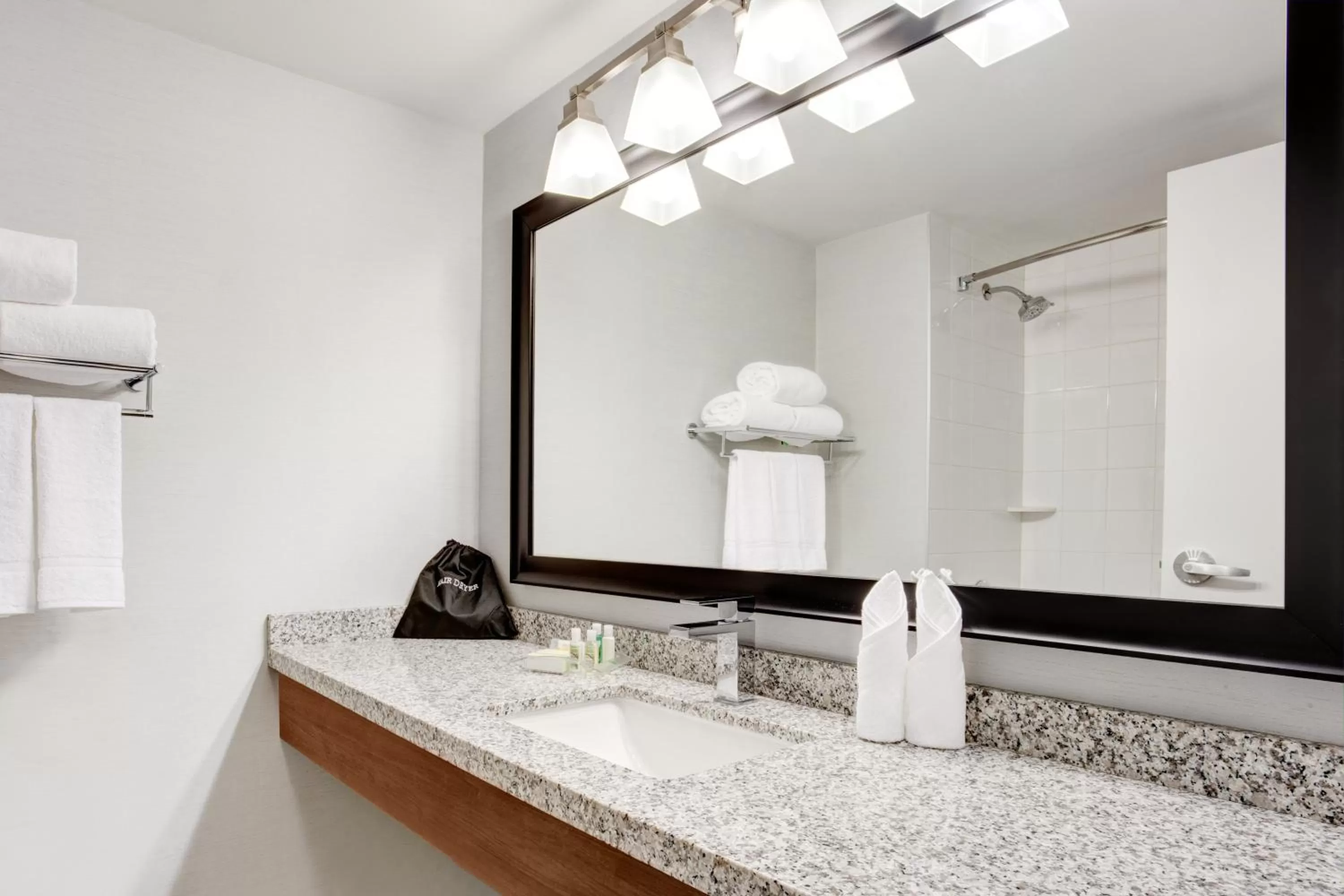 Queen Room - Mobility Access Roll in Shower/Non-Smoking in Holiday Inn Ottawa East by IHG