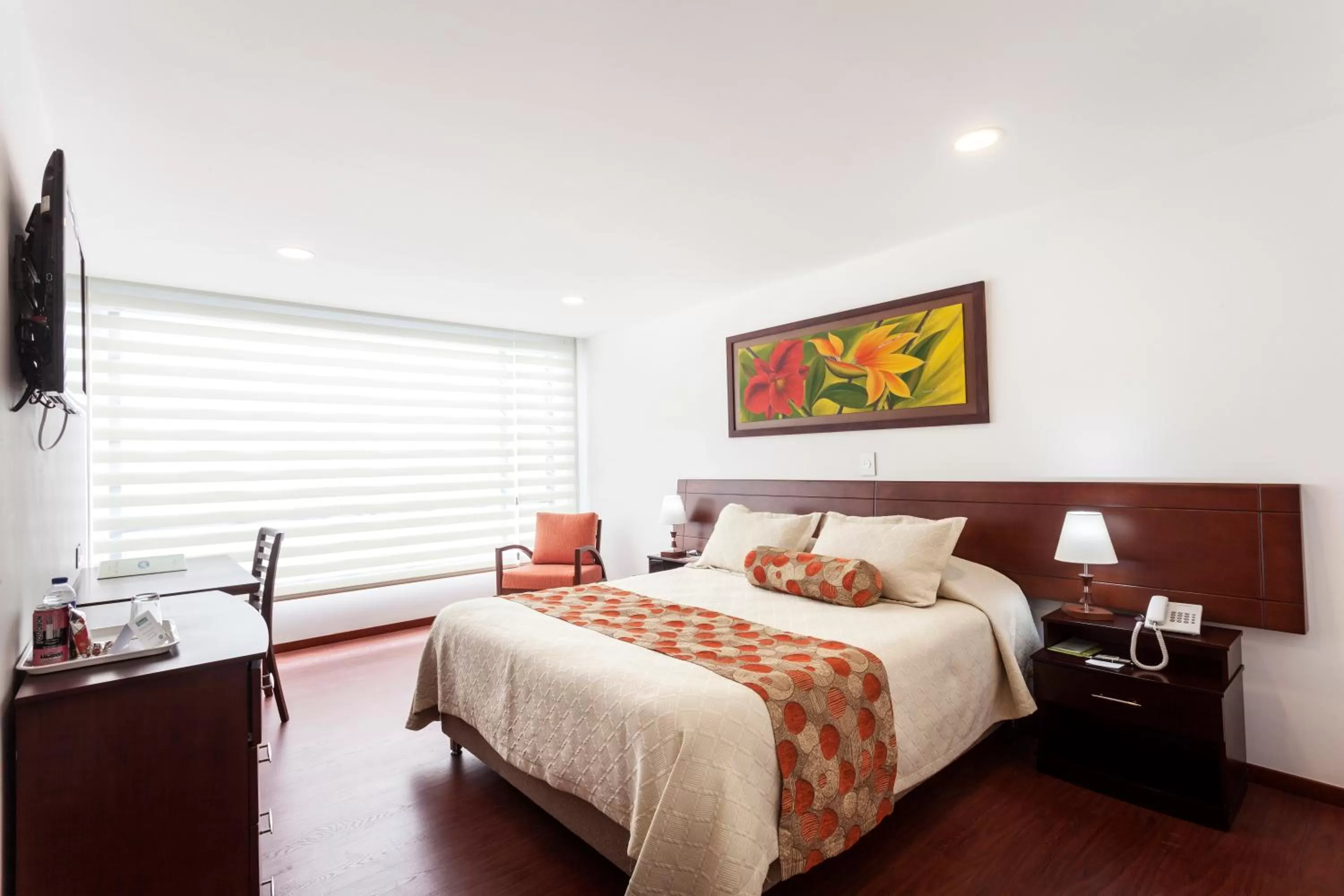 Double Room - single occupancy in Hotel Cuellars