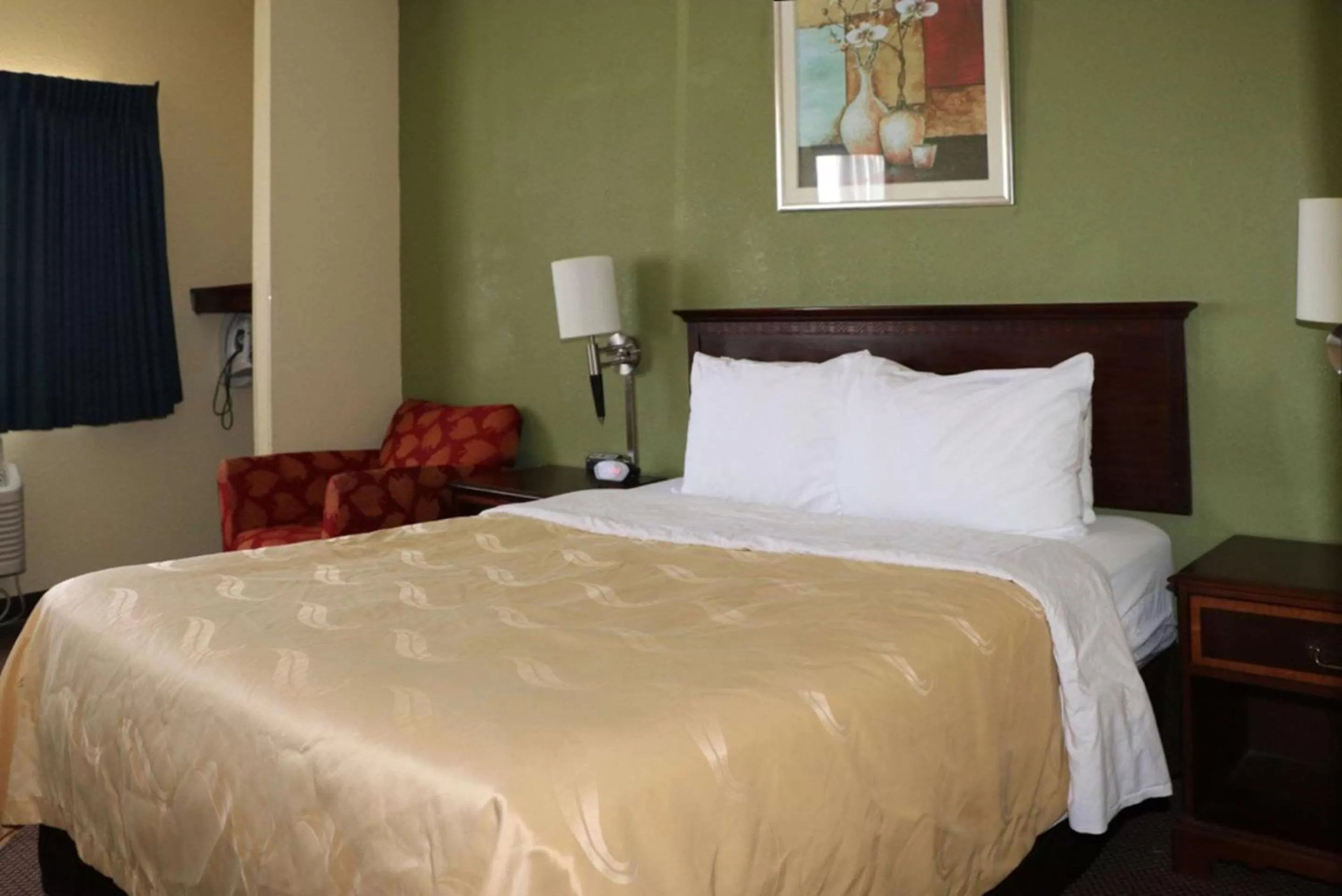 Queen Room - Accessible/Nonsmoking in Quality Inn Evansville Eastland Area