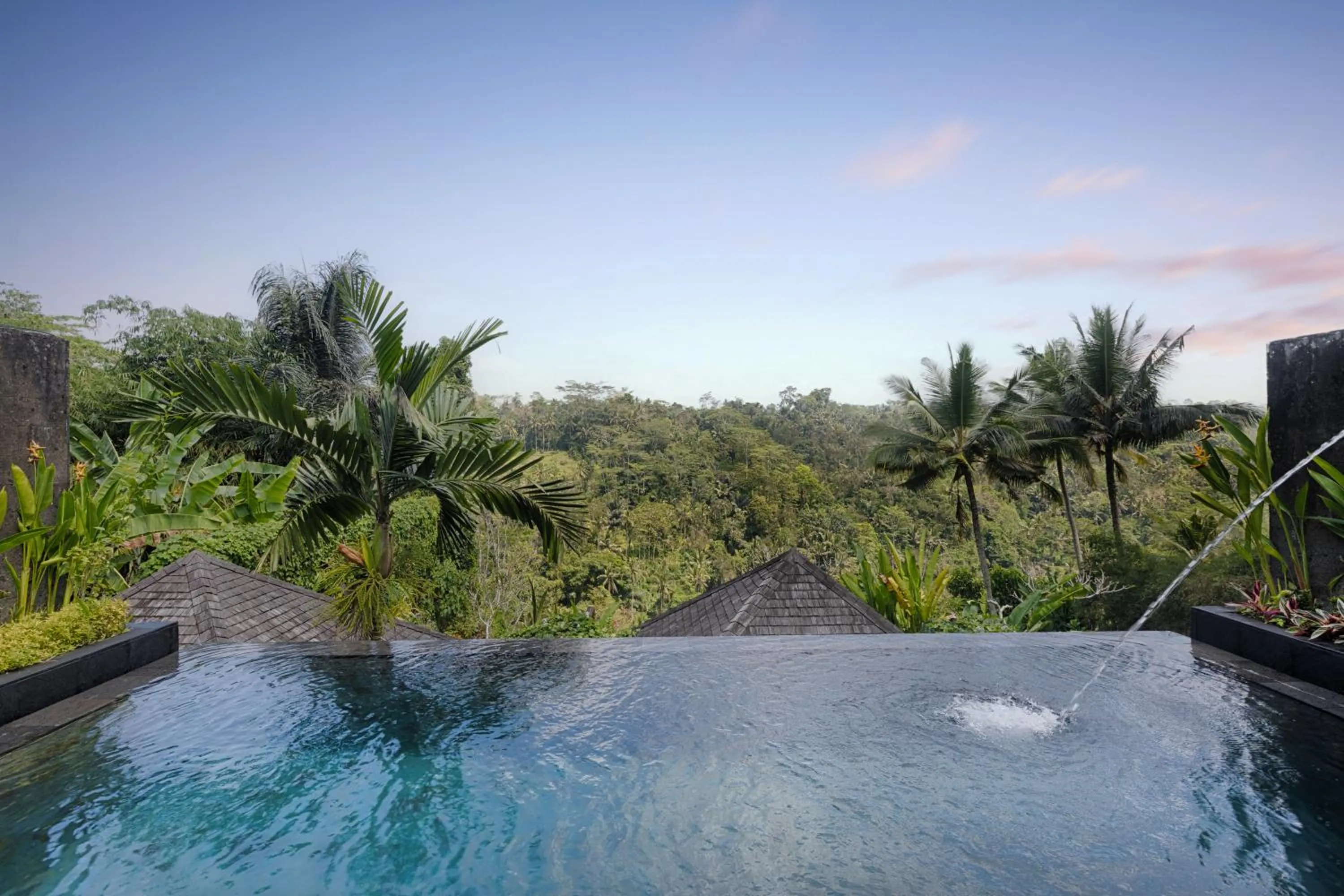 Deluxe  Villa with Private Pool in Black Penny Villas Ubud