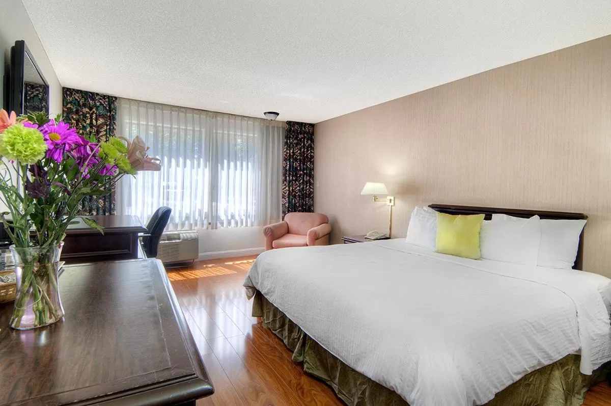 King Room in County Inn