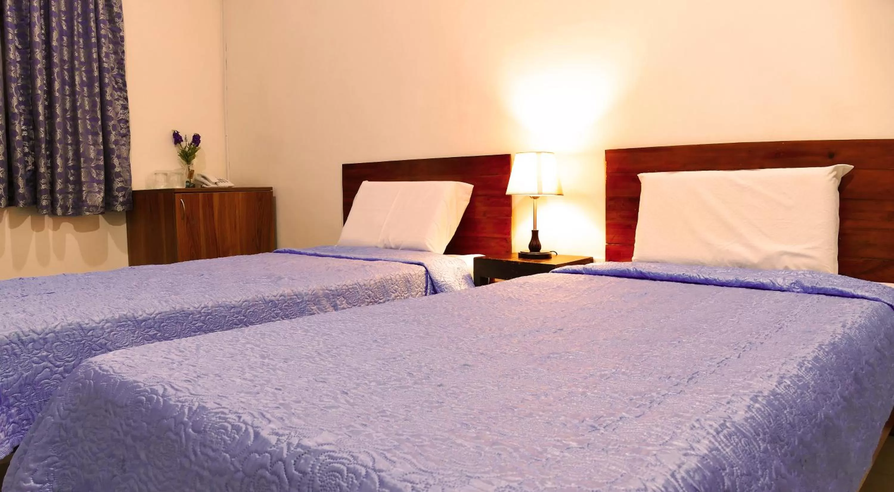 Deluxe Twin Room in CounTess Pension House