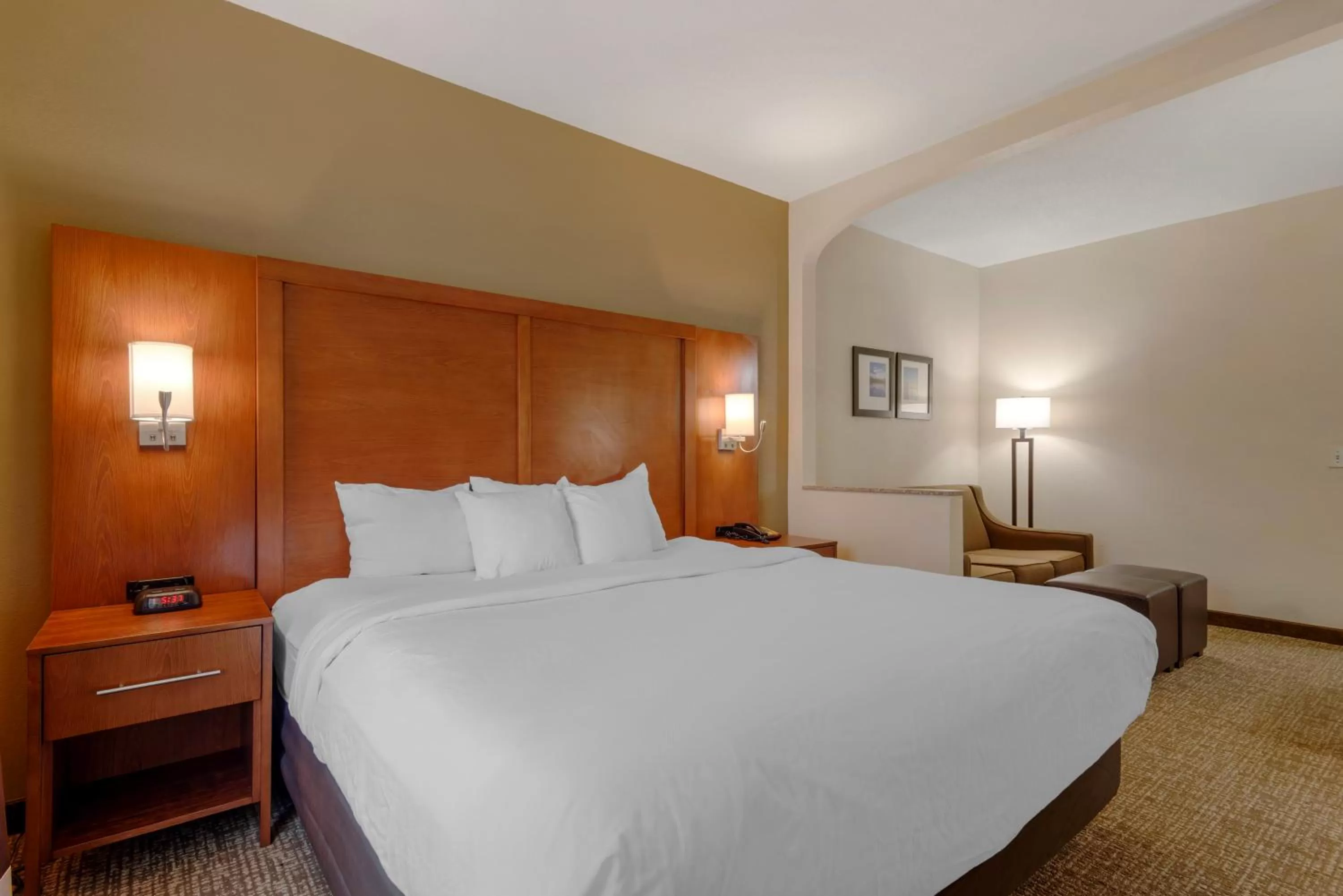 King Suite with Accessible Tub - Accessible/Non-Smoking in Comfort Suites Columbus State University Area