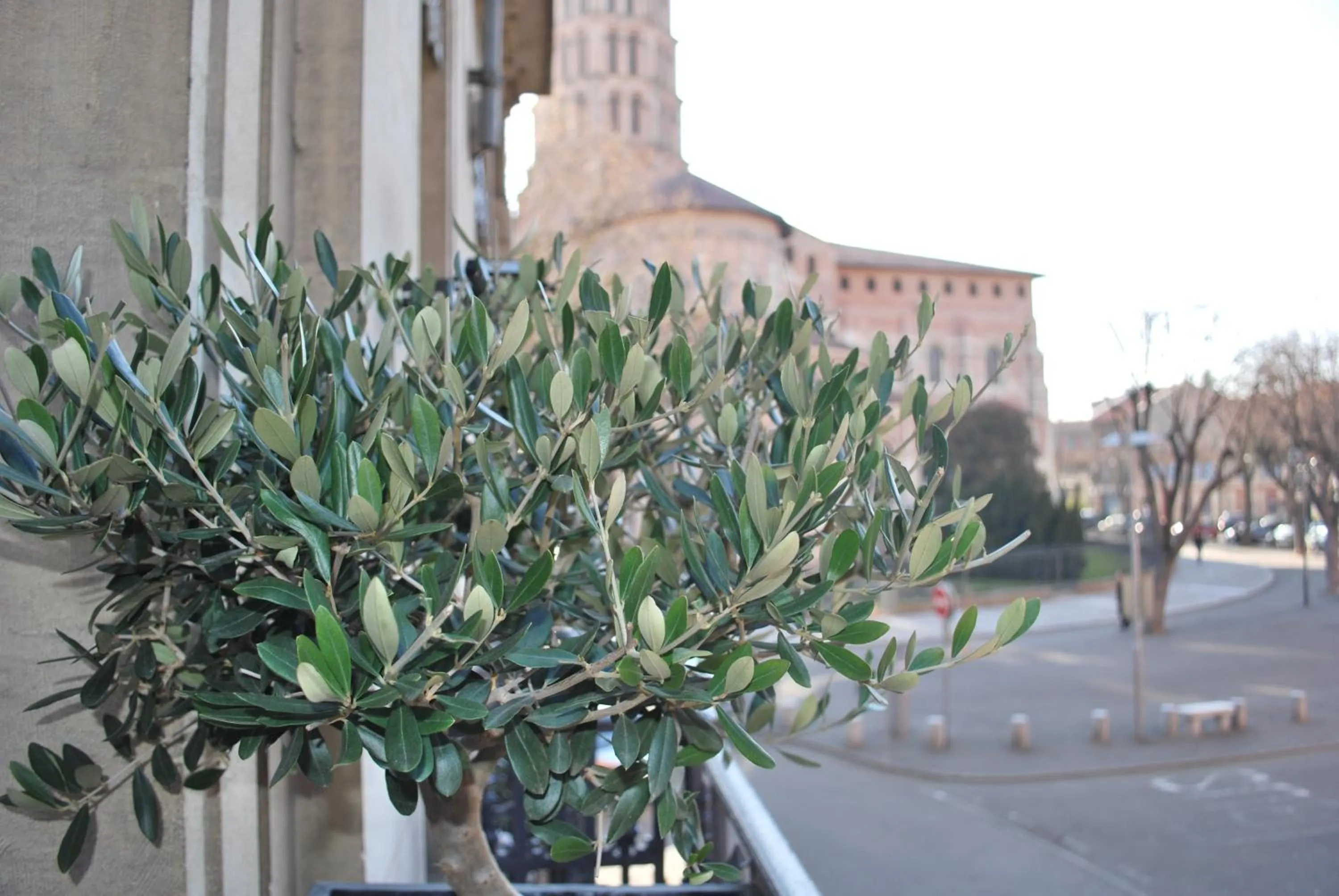 Premium Double or Twin Room in Hôtel St Sernin