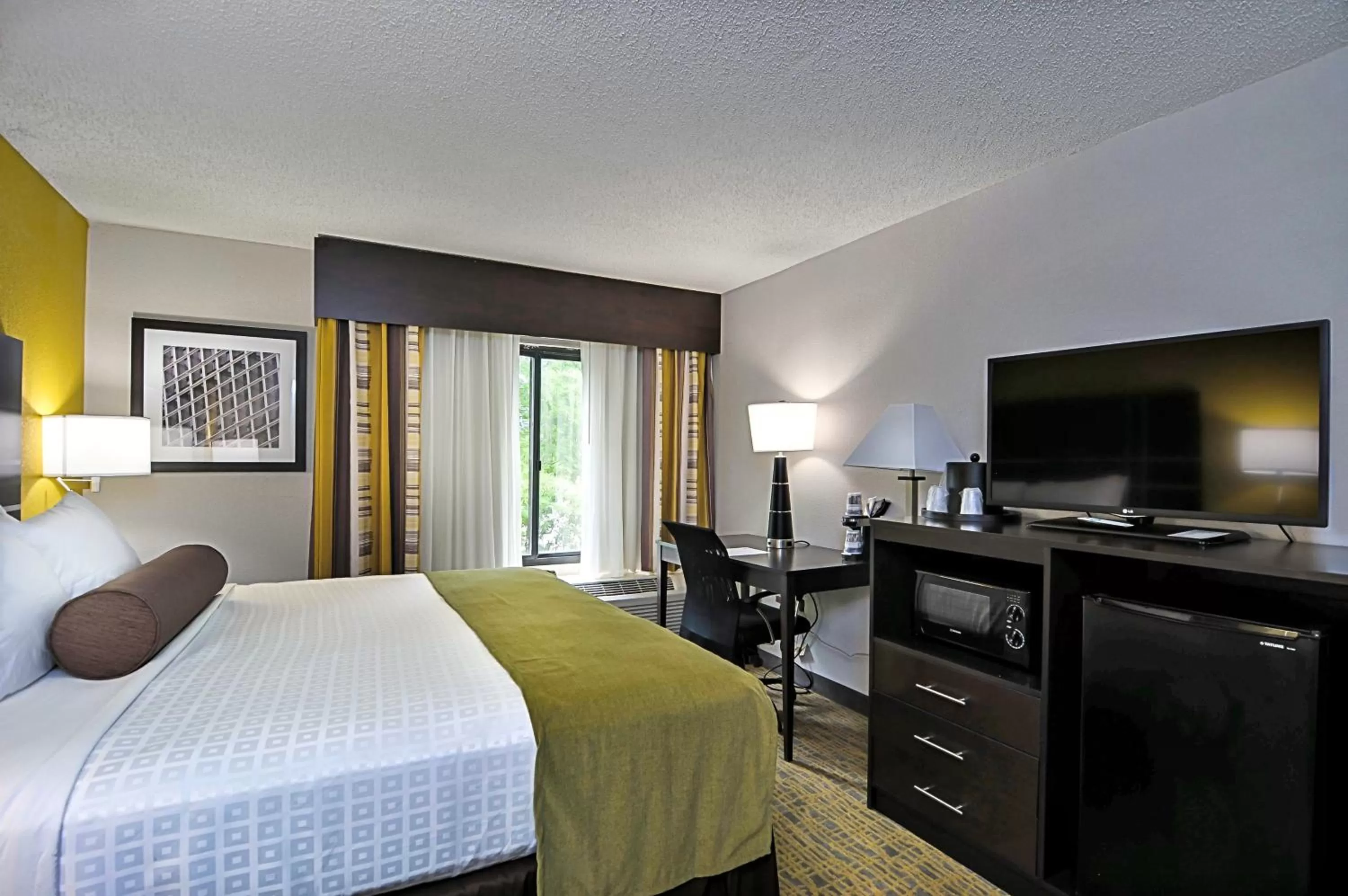 King Room with Roll-in Shower - Disability Access/Non-Smoking in Best Western Plus Hanes Mall