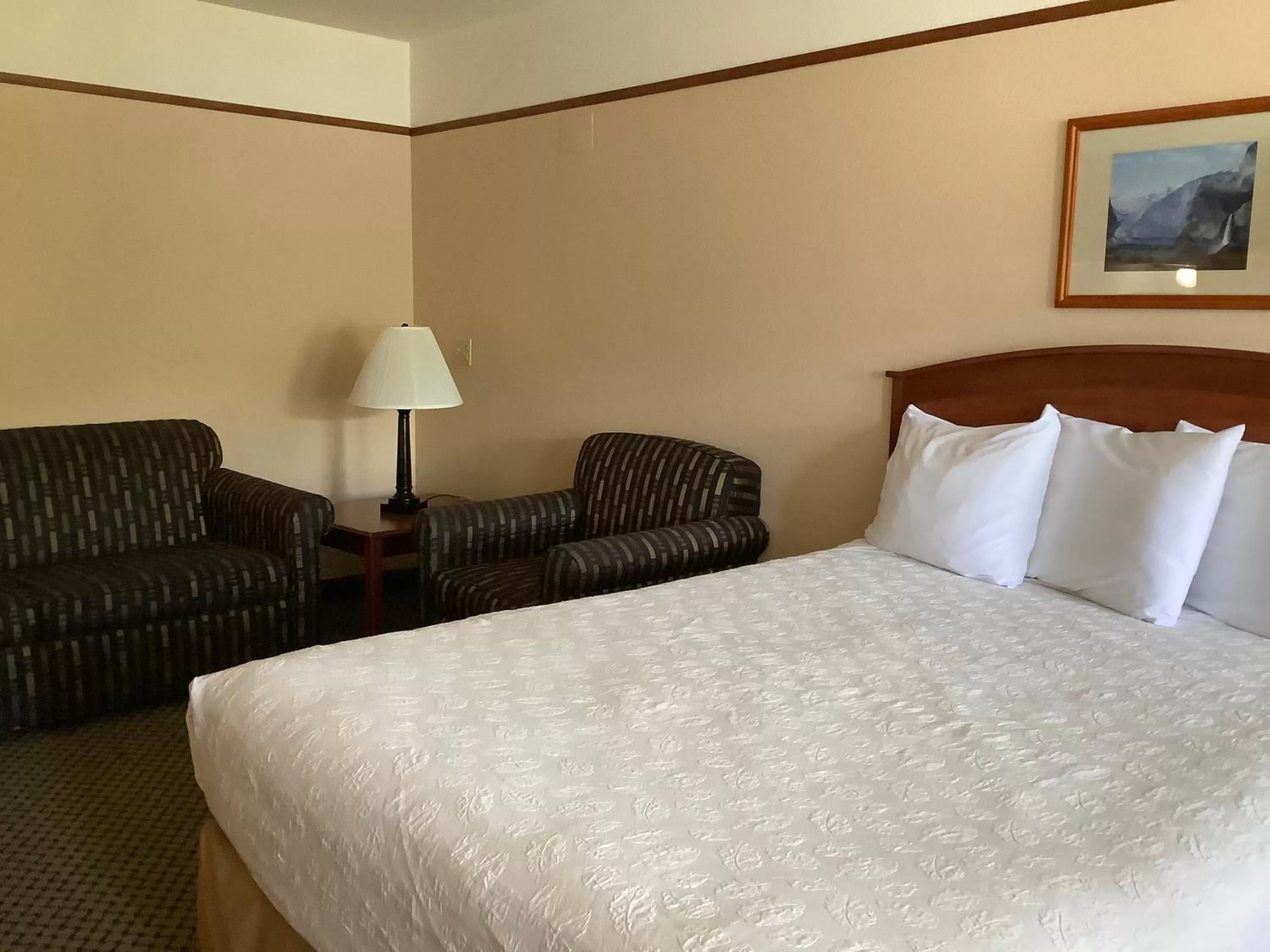 Family Suite in Luxury Inn & Suites