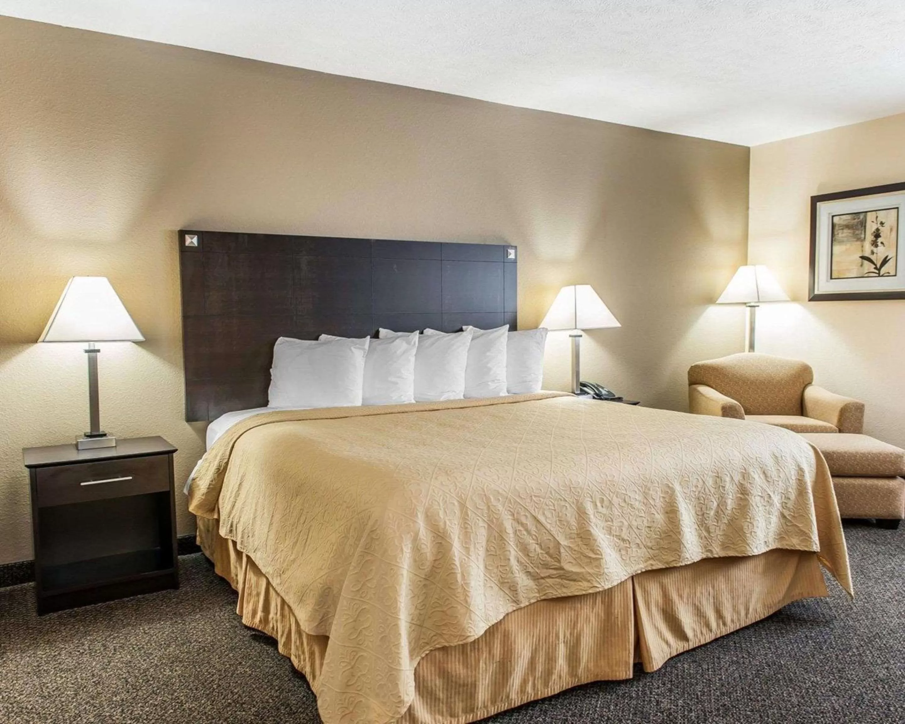 Queen Room - Accessible/Nonsmoking in Quality Inn & Suites Mattoon South