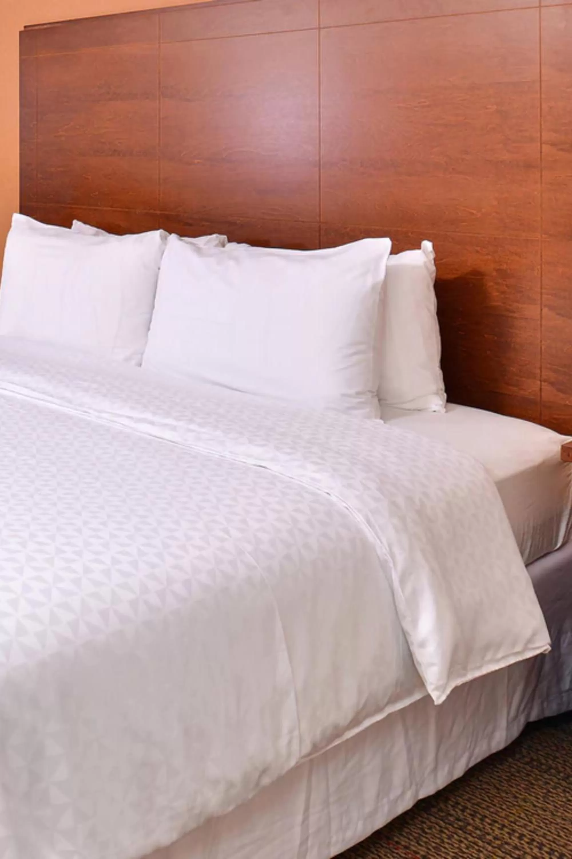 King Suite - Non Smoking in Radisson Hotel Detroit Metro Airport