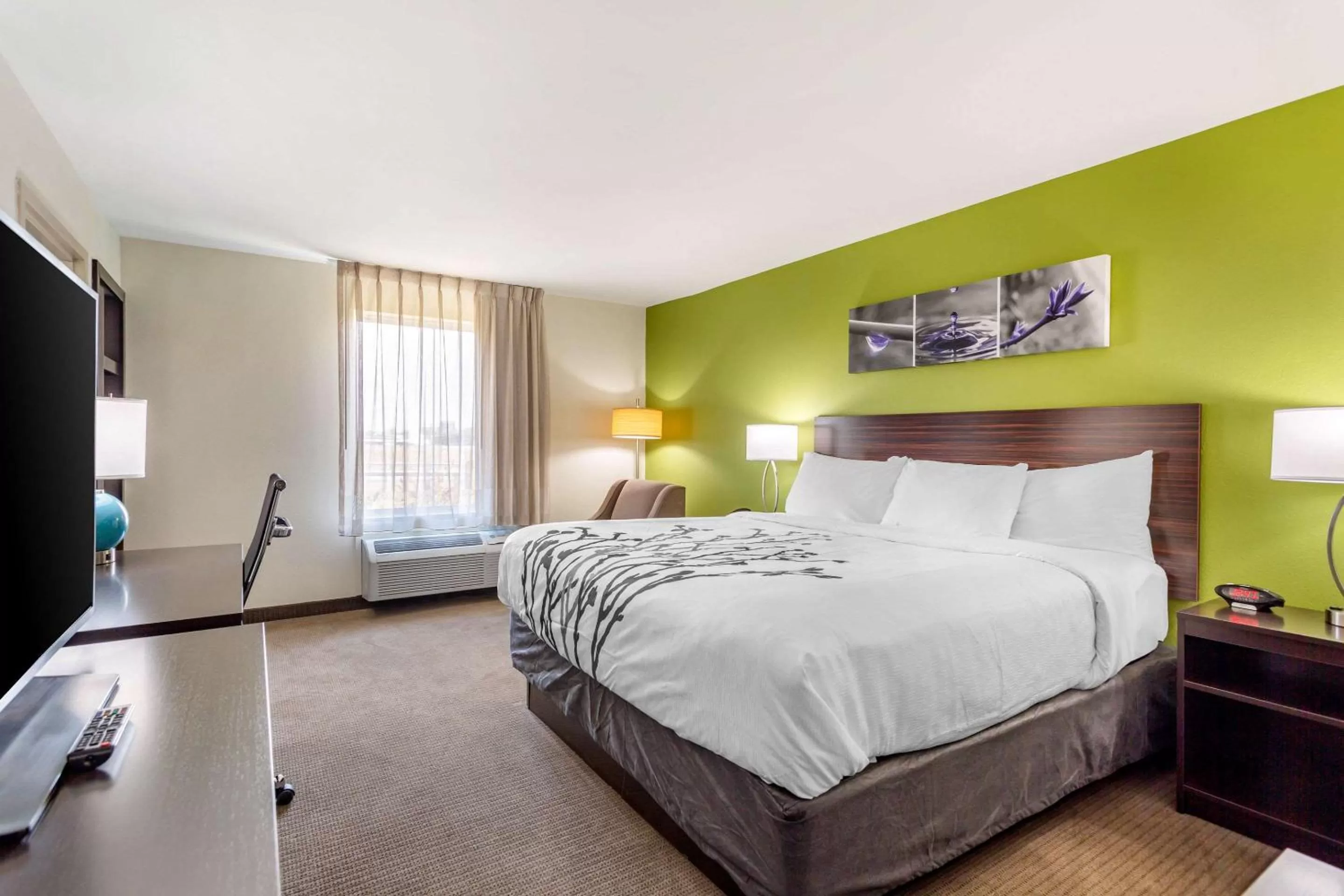 King Room - Non-Smoking in Sleep Inn & Suites Gallatin - Nashville Metro
