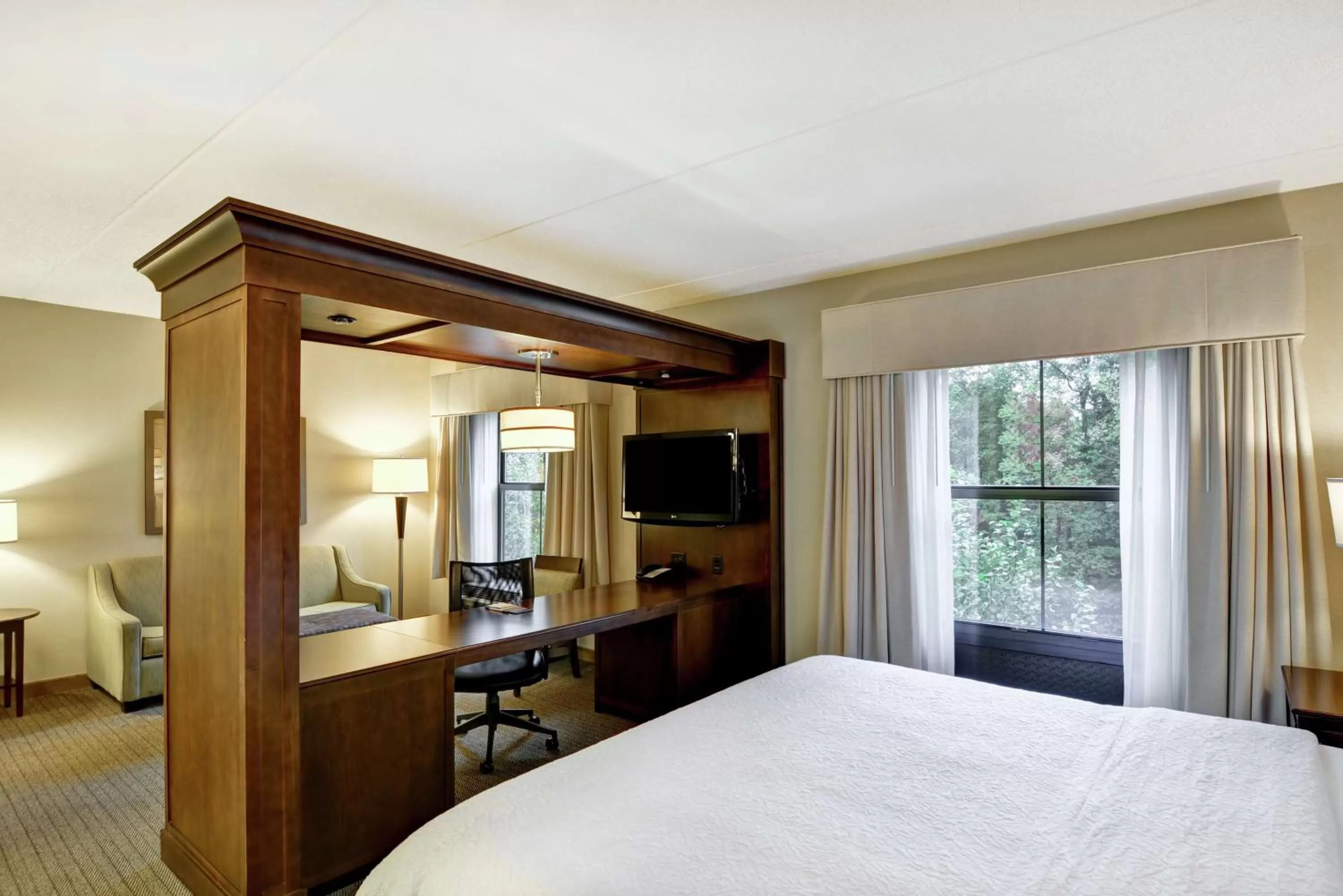 King Studio Suite with Sofa Bed - Non-Smoking in Hampton Inn Tunkhannock