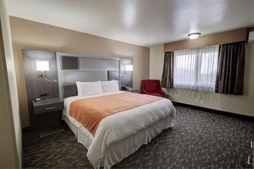 Deluxe King Room - Non-Smoking in Red Roof Inn Yuba City Bonanza - Marysville