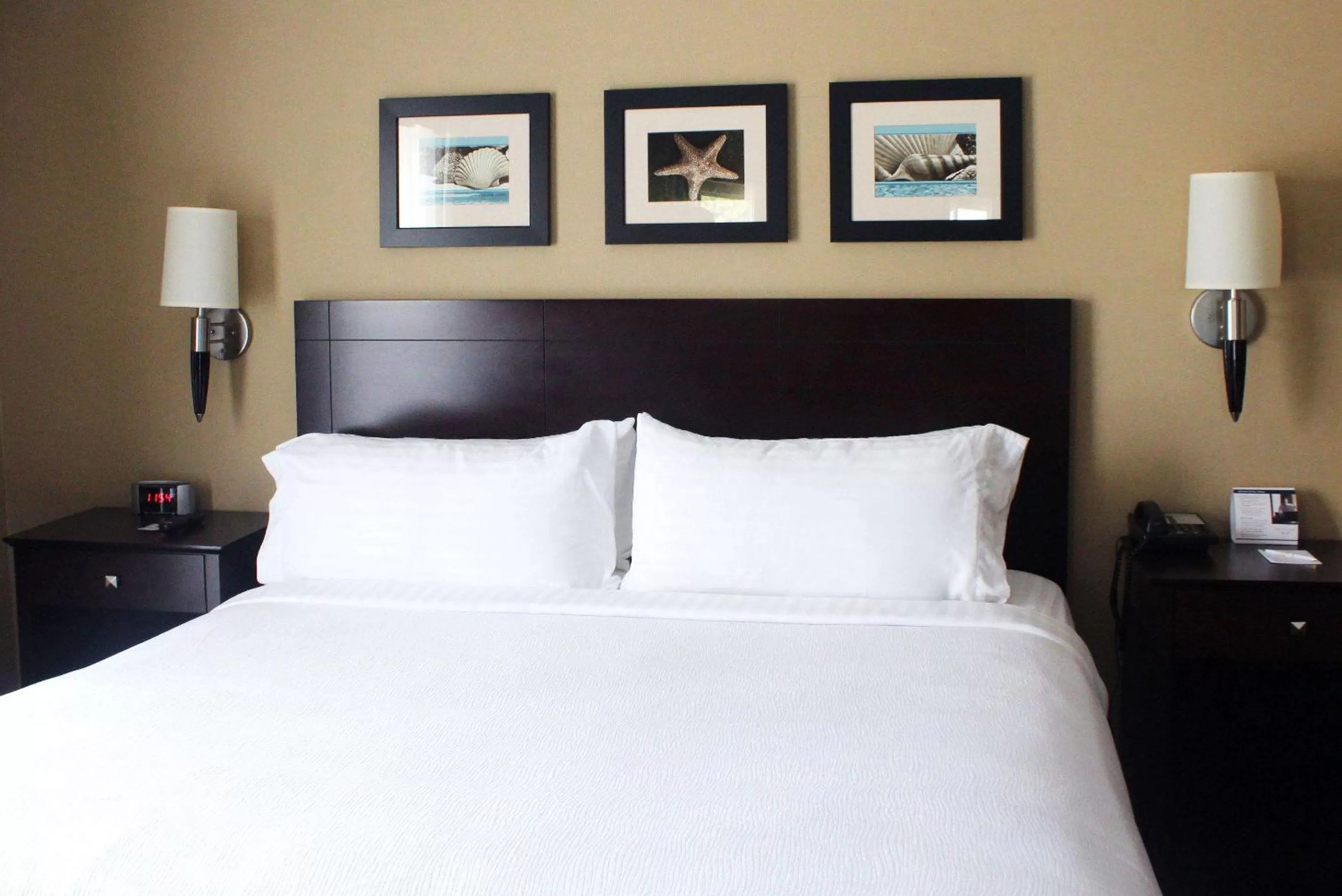 Accessible Room, 1 King Bed, Roll-In Shower, Non Smoking in The Volare, an Ascend Collection Hotel