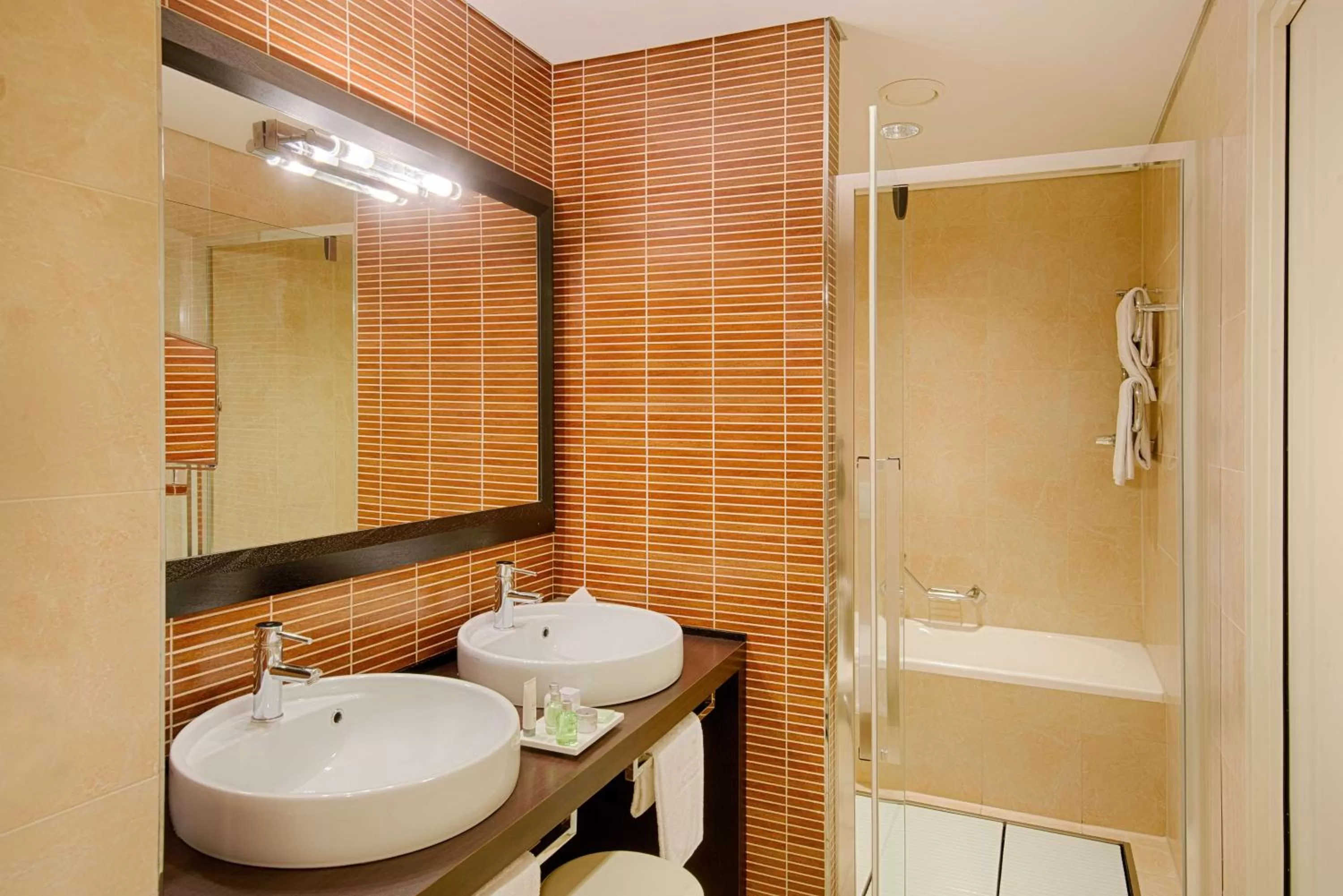 Superior Double or Twin Room with View in Savhotel Mantegna Padova