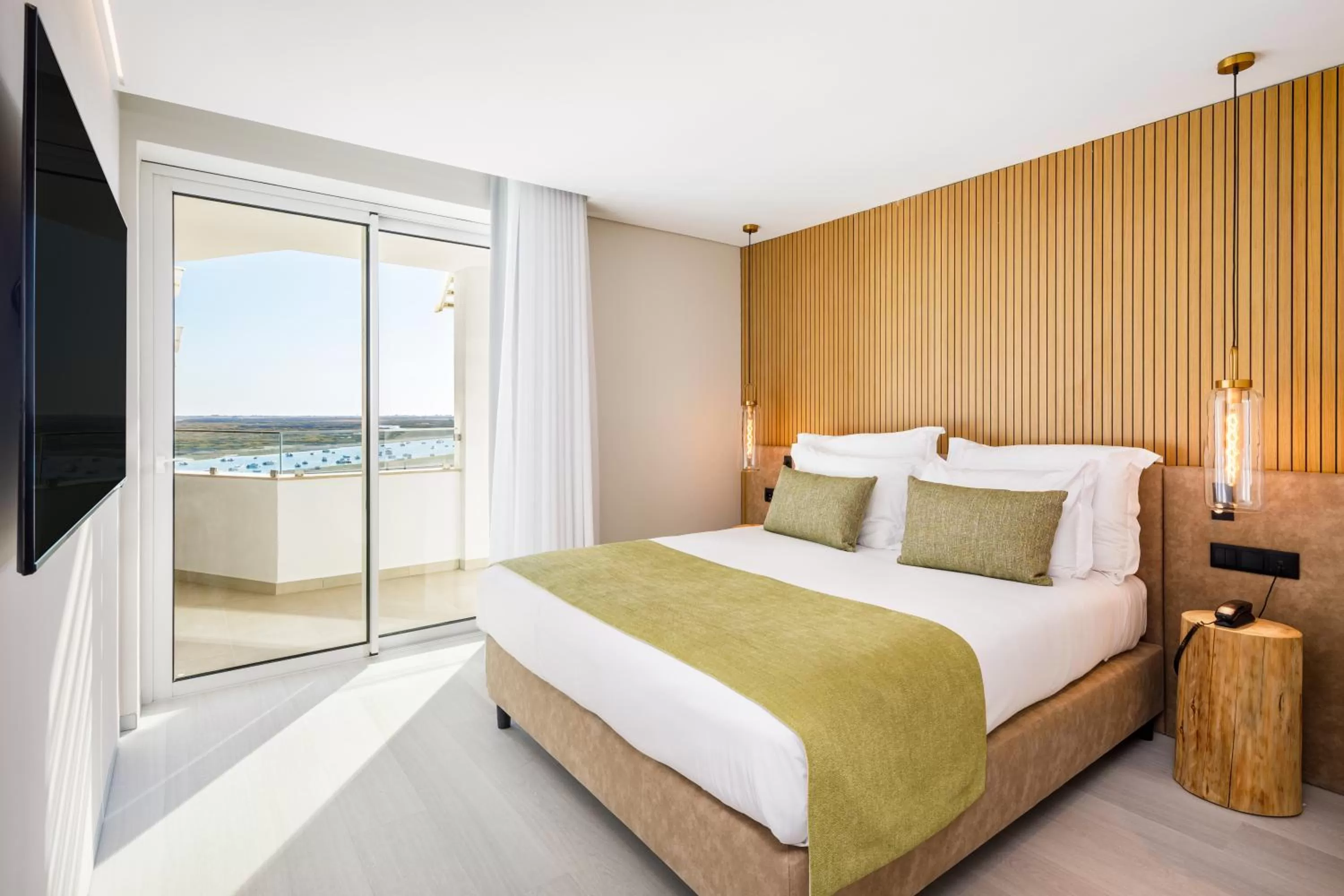 2 Bedroom Deluxe Suite in AP Eva Senses