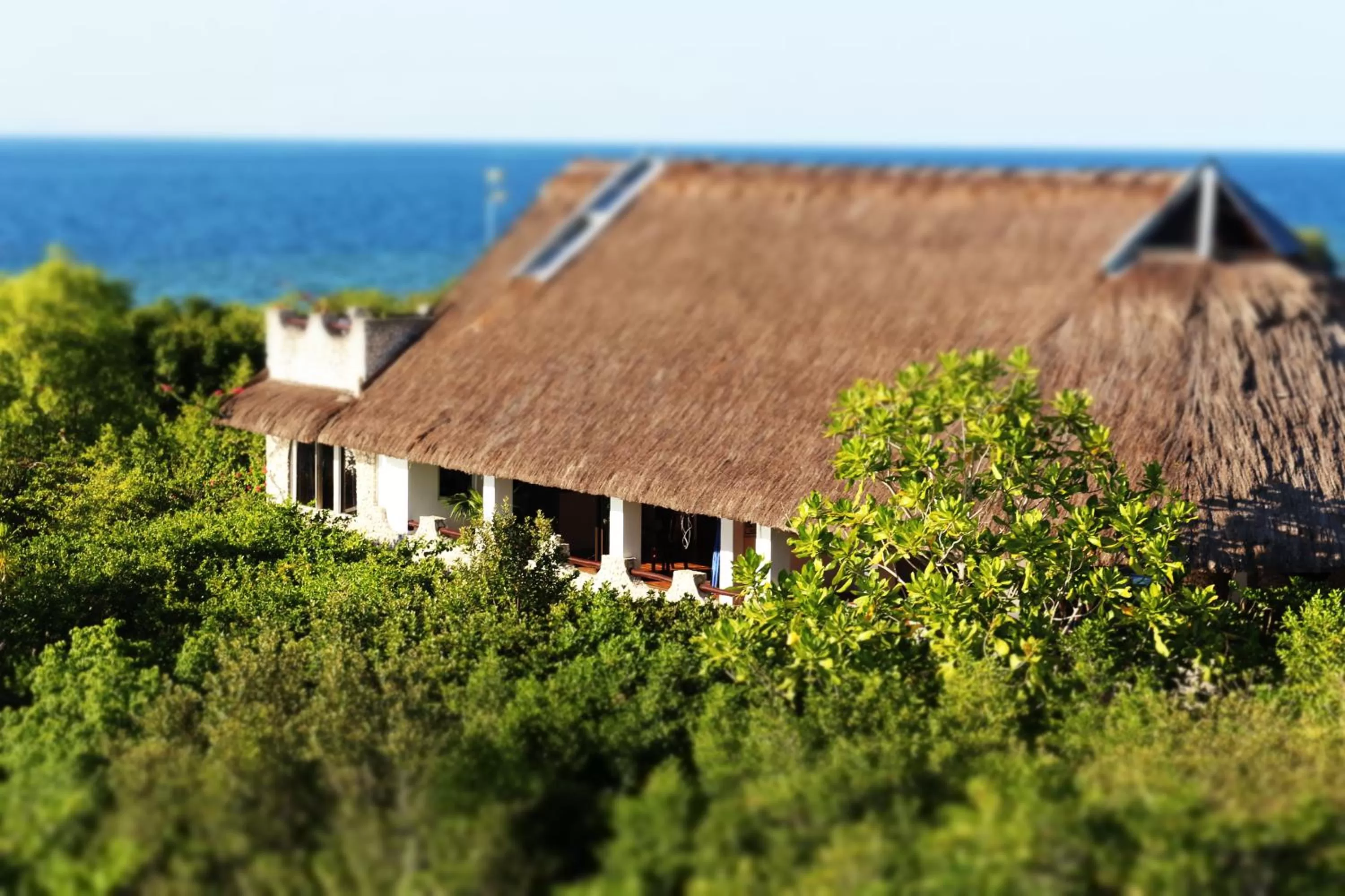 Honeymoon Suite in The Blue Orchid Resort