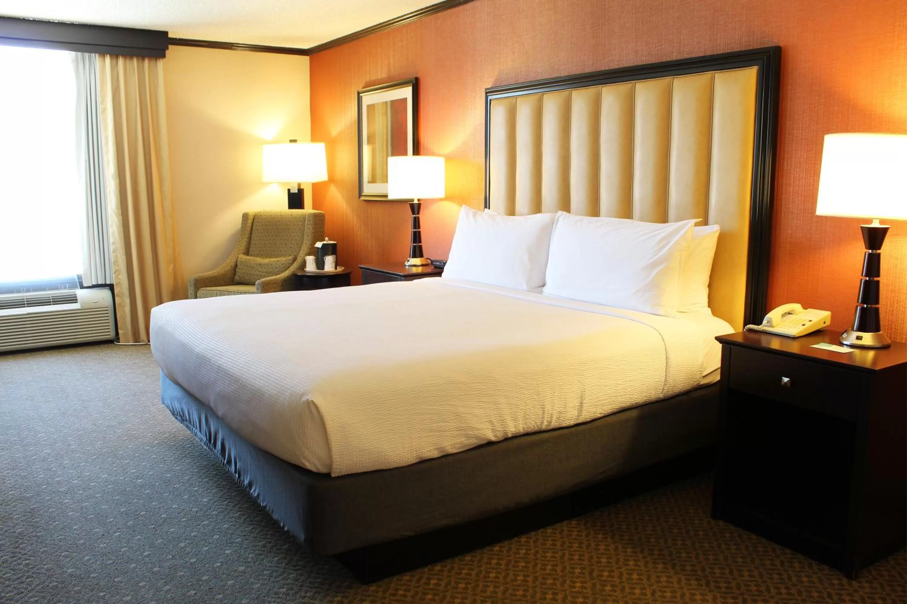 King Room - Disability Access in Hotel Burbank