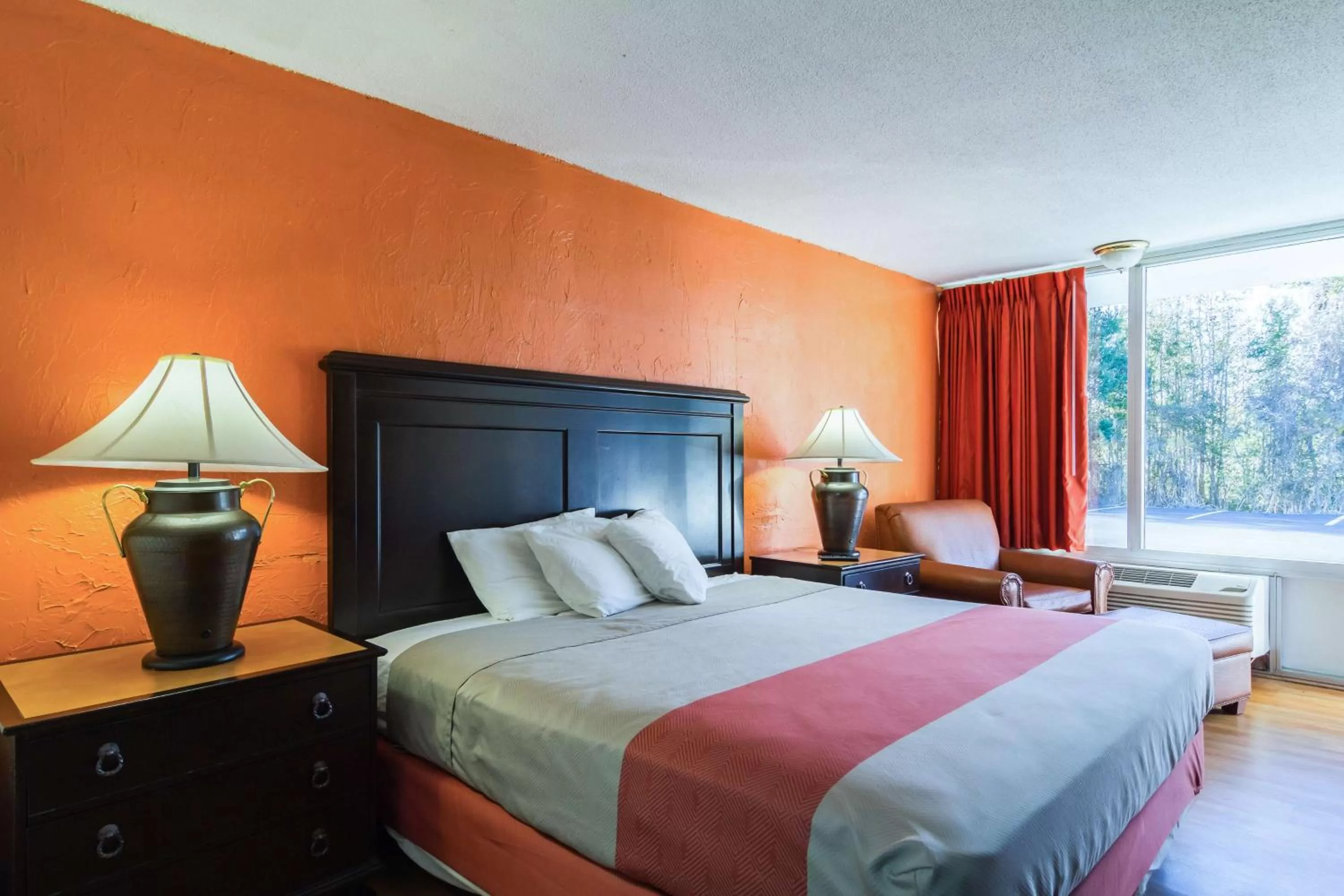 King Room - Smoking  in Motel 6-Townsend, GA