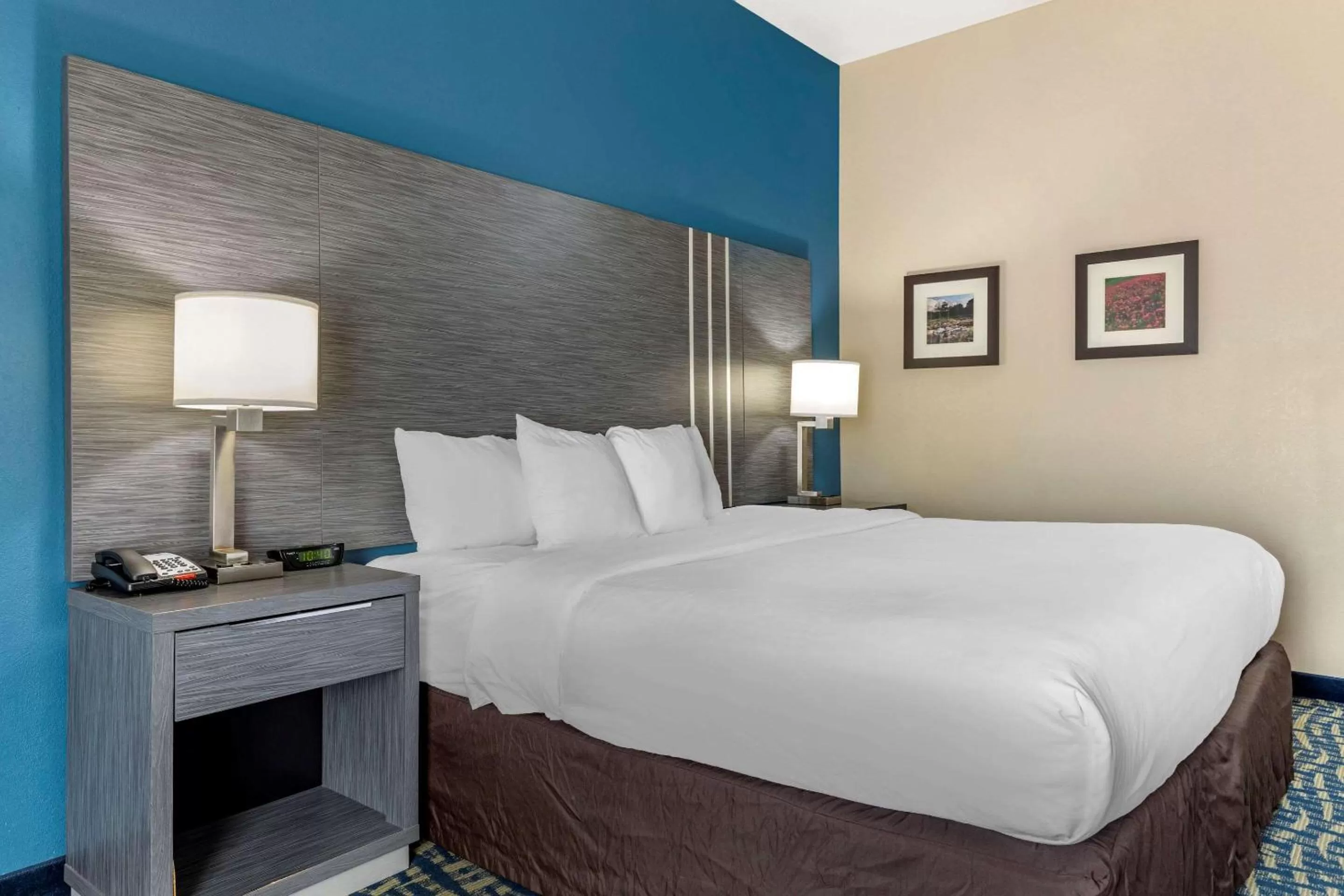 Standard King Room - Non-Smoking  in Comfort Inn & Suites Pauls Valley - City Lake