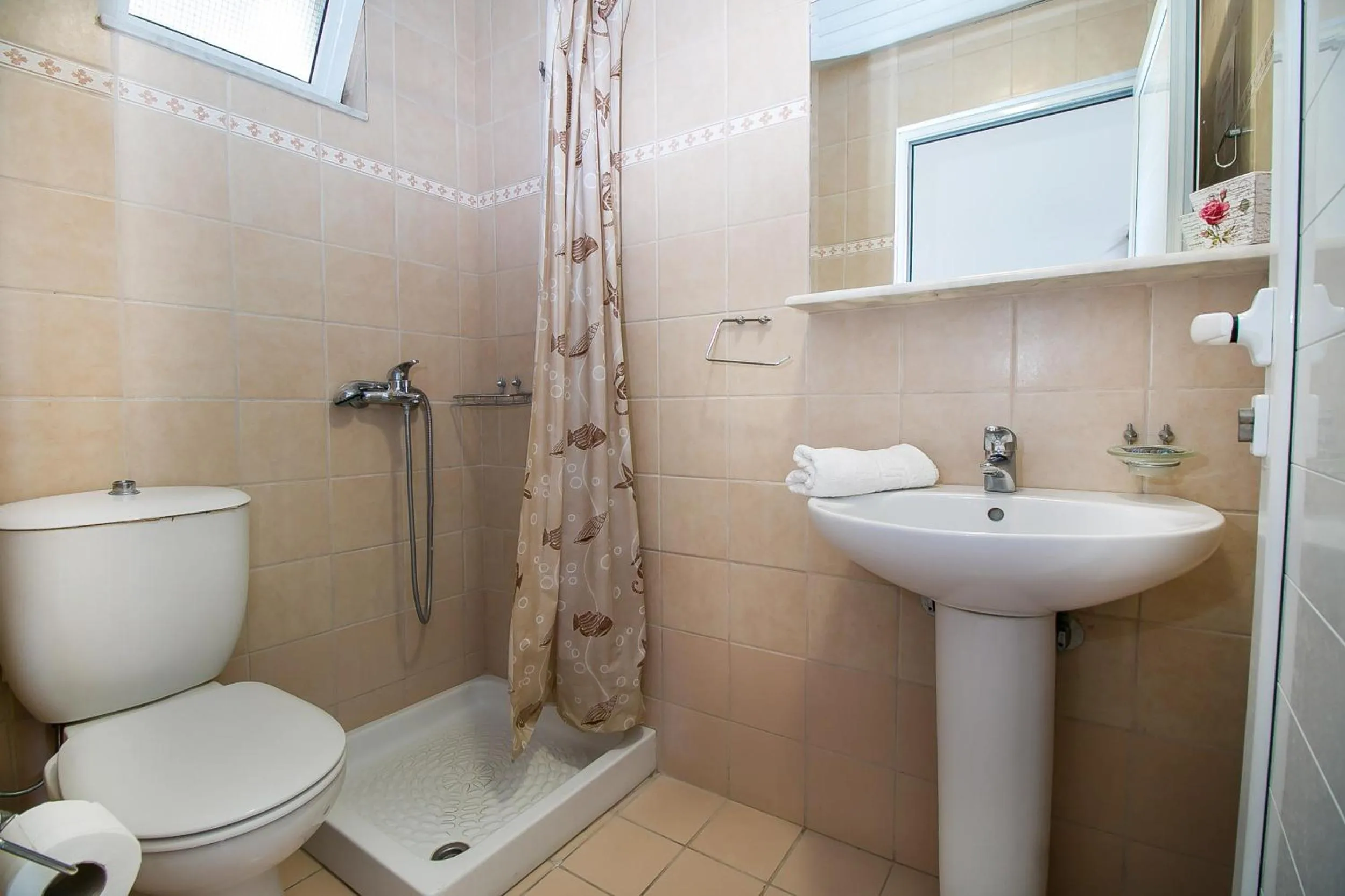 Standard Double or Twin Room in Ano Kampos Hotel