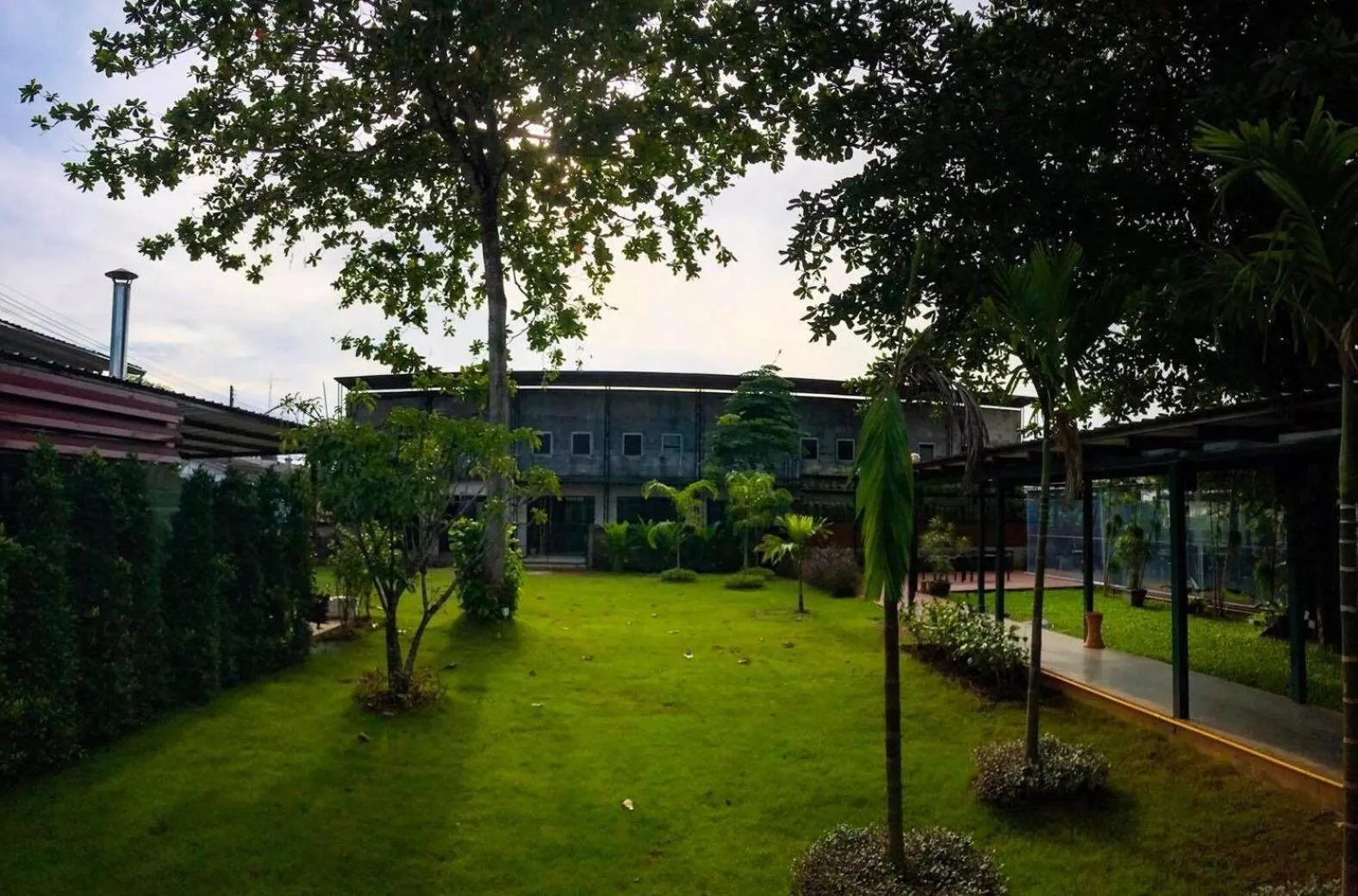Single Bed in Mixed Dormitory Room in THE TREE Sleep and Space
