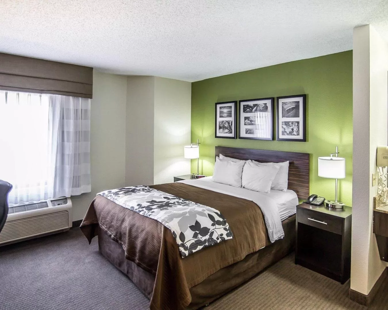 Queen Room Disability Access in Sleep Inn South Joplin