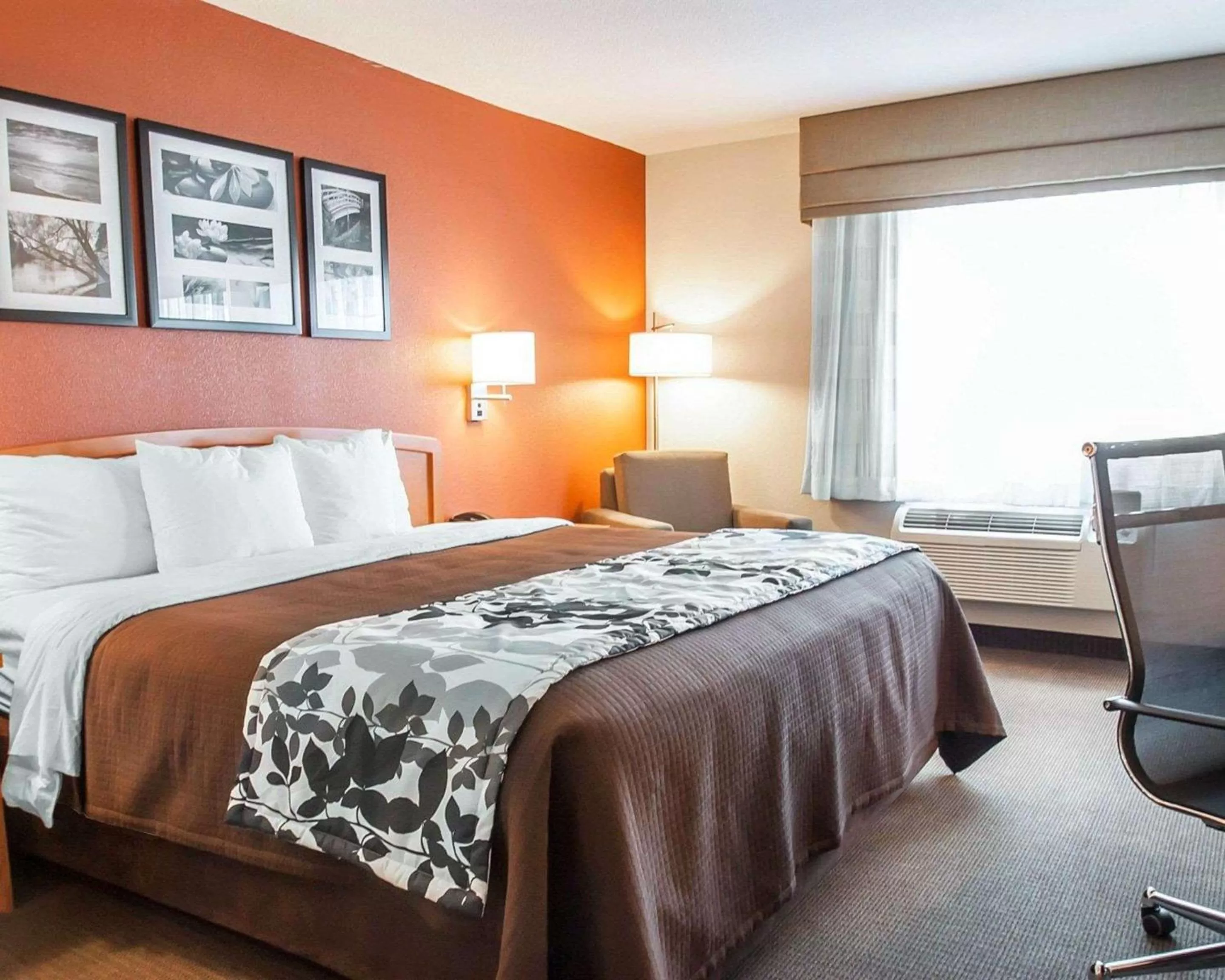 Standard King Room - Non-Smoking  in Sleep Inn & Suites Lake of the Ozarks