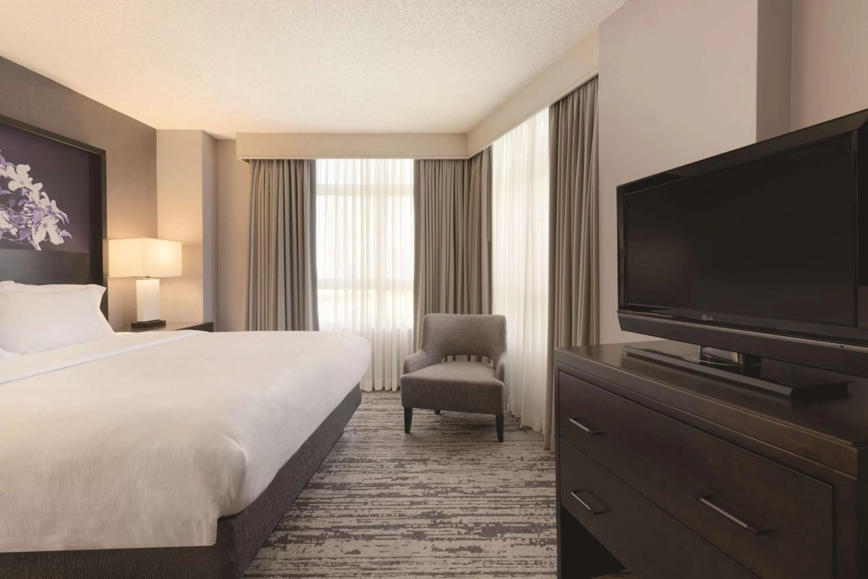 Corner King Suite with Park View in Embassy Suites by Hilton Atlanta at Centennial Olympic Park