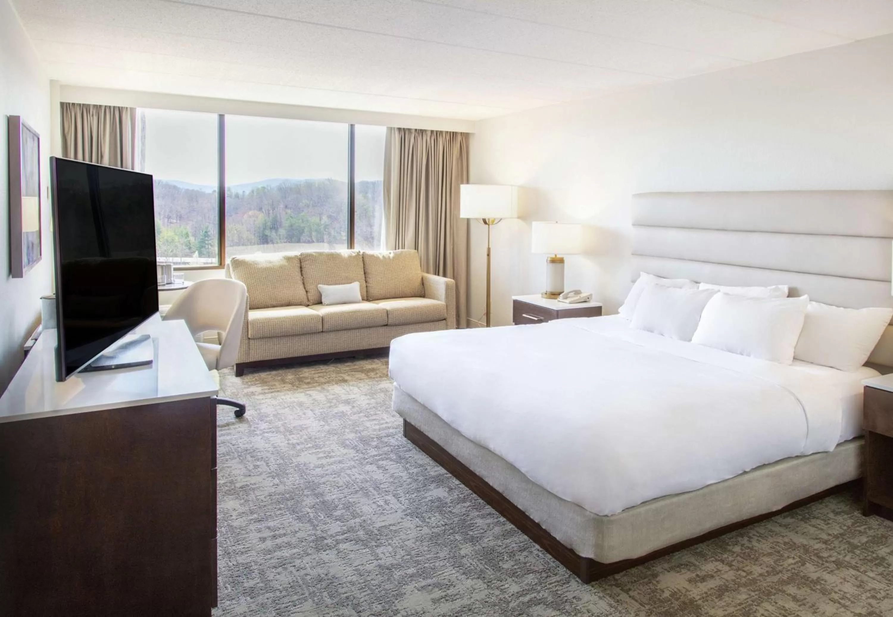 King Room Mobility Accessible with Roll In Shower Non-Smoking in DoubleTree by Hilton Charlottesville