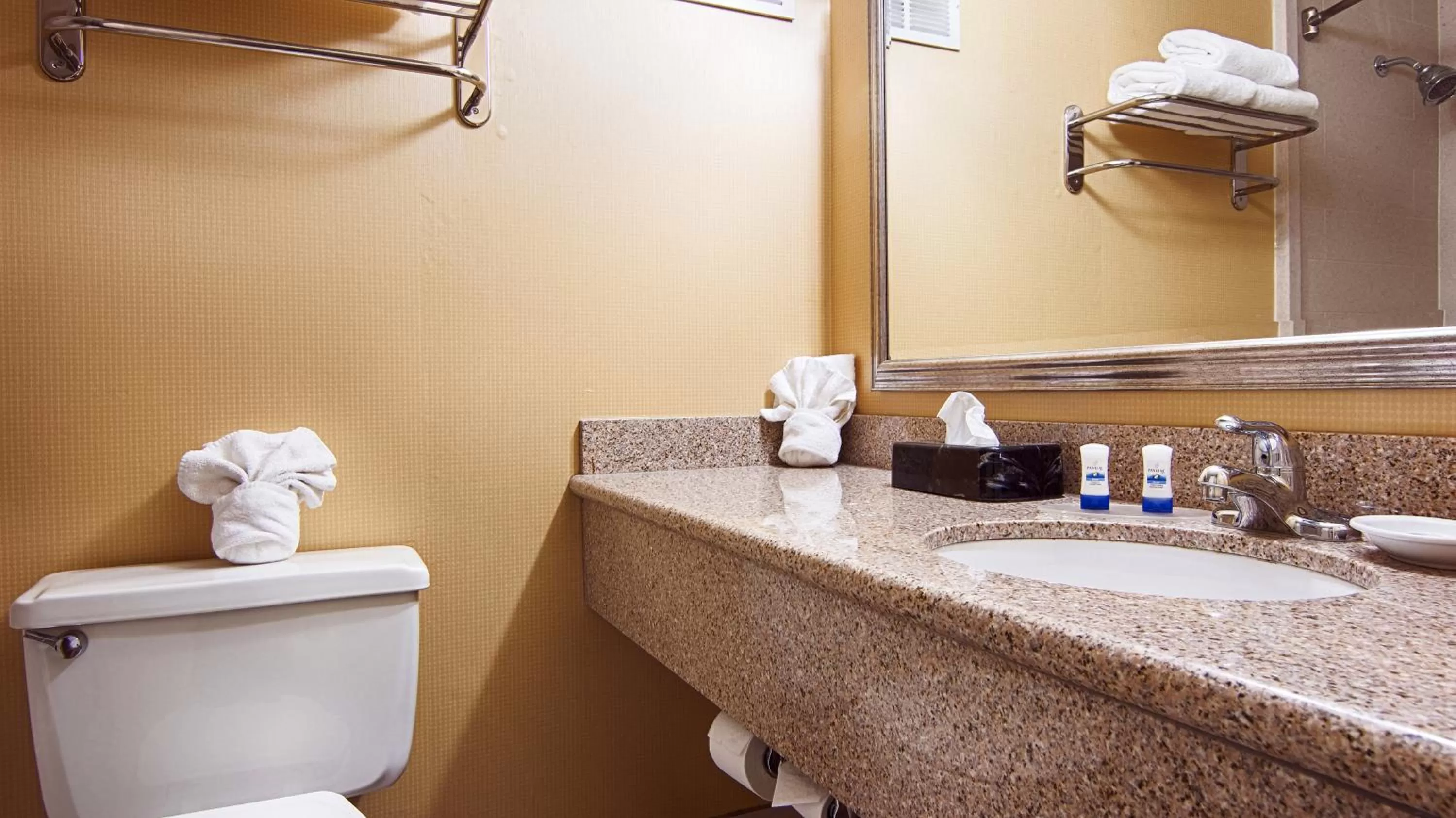 King Room - Non-Smoking in Quality Inn & Suites East Syracuse - Carrier Circle