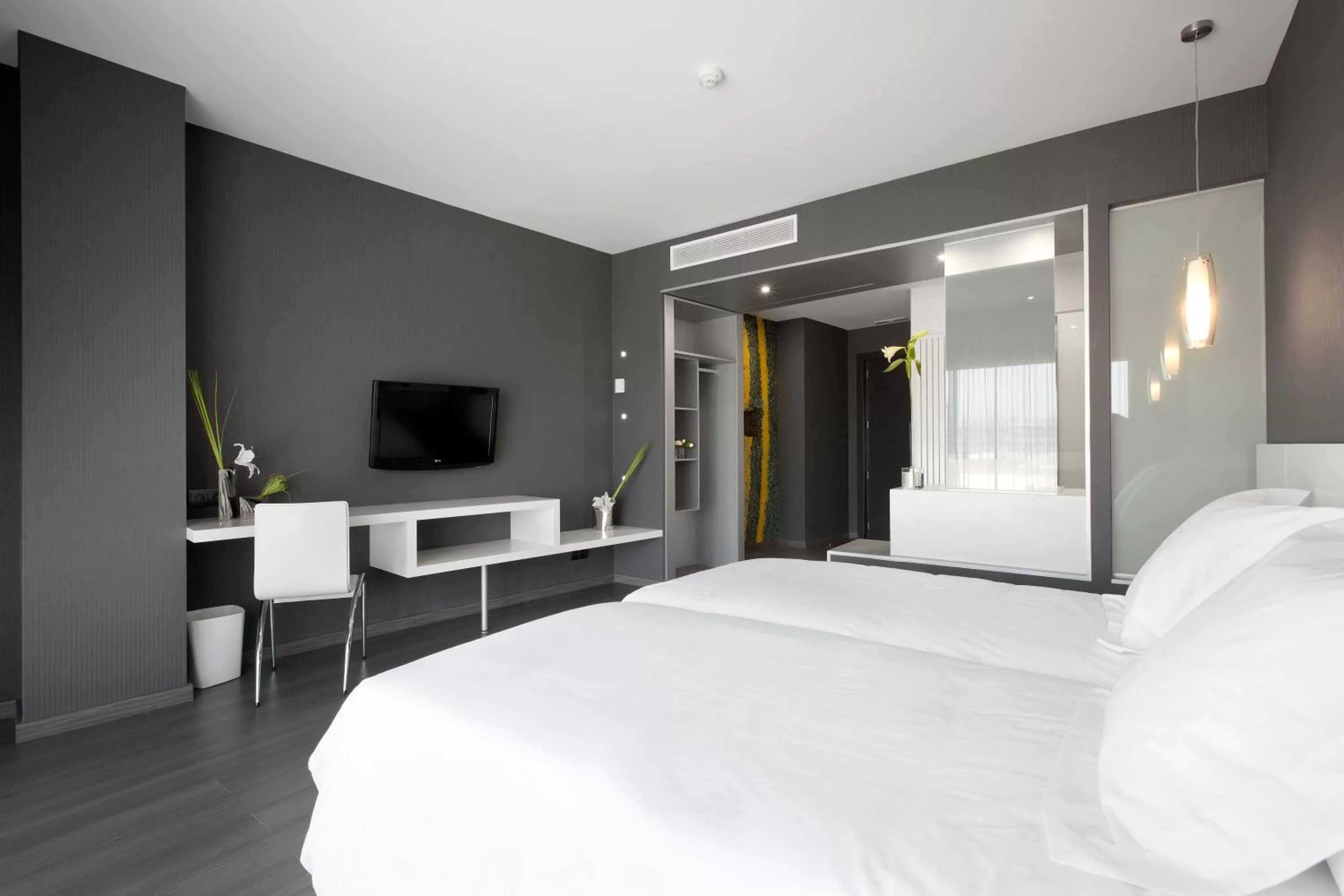 Standard Twin Room in Hotel MasMonzon